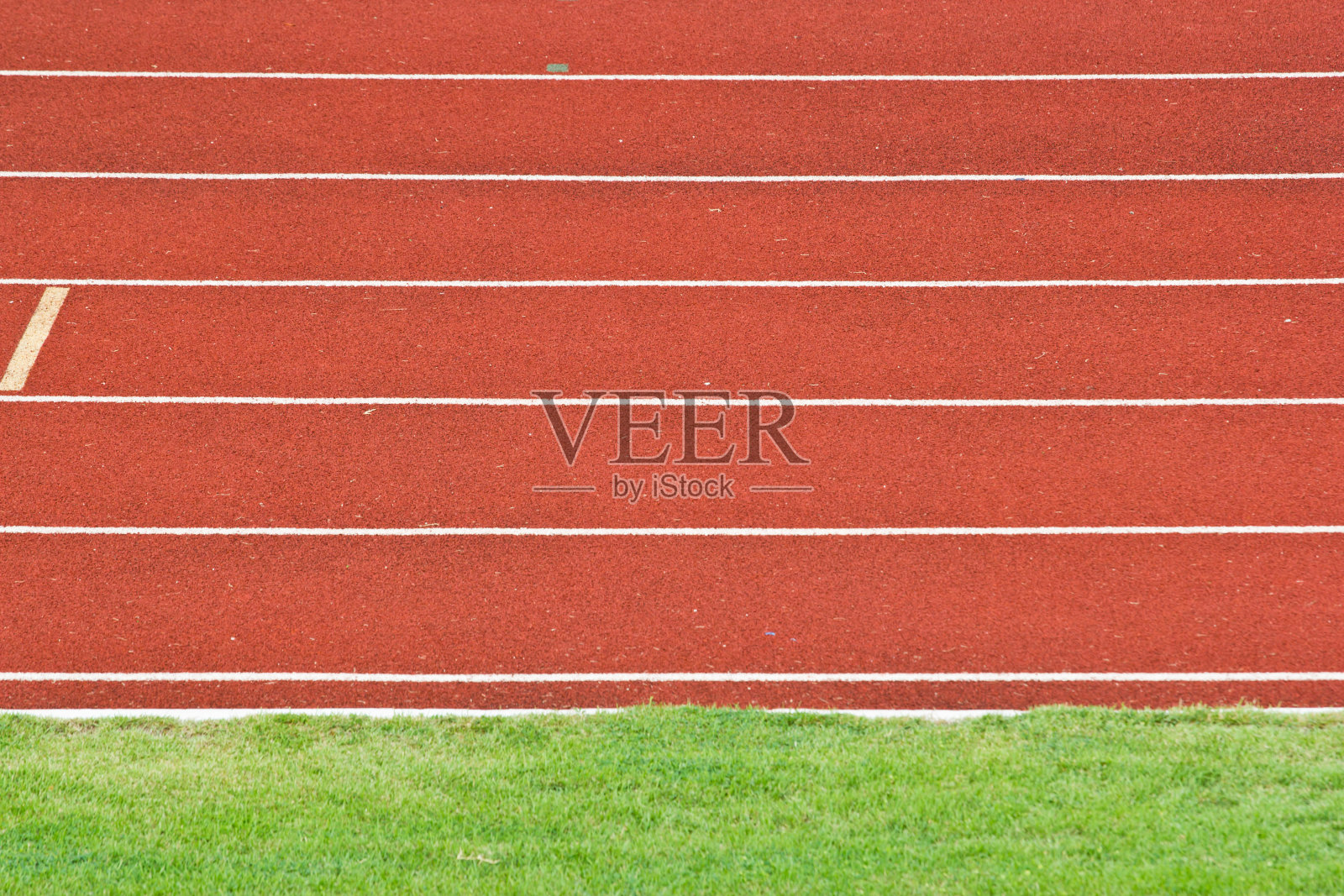 体育场路格赛草照片摄影图片