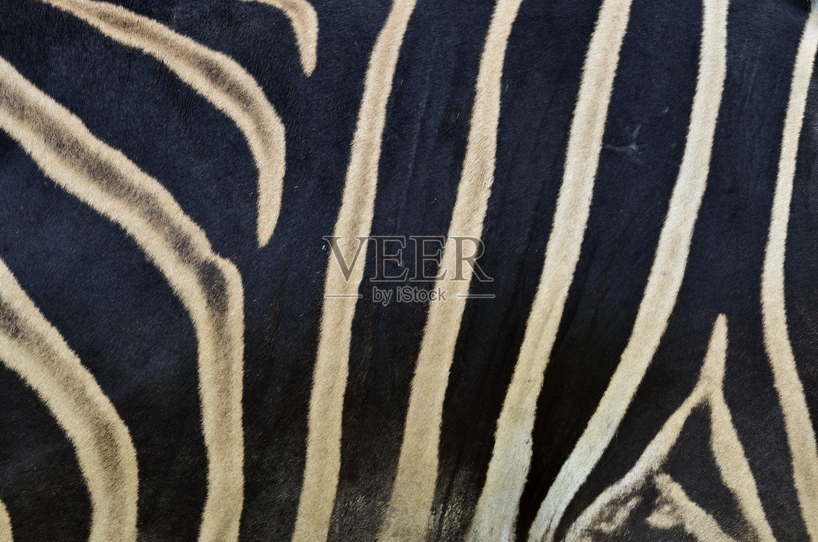 无缝棕色和黑色斑马皮肤图案照片摄影图片