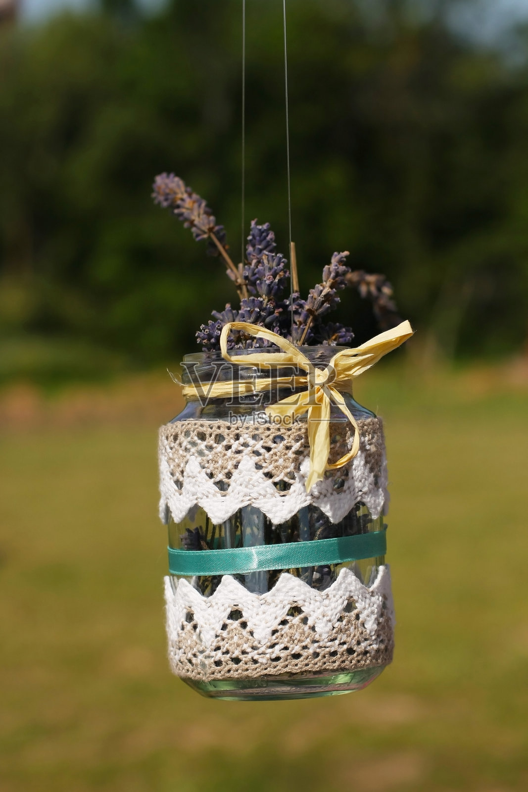 装饰用薰衣草照片摄影图片