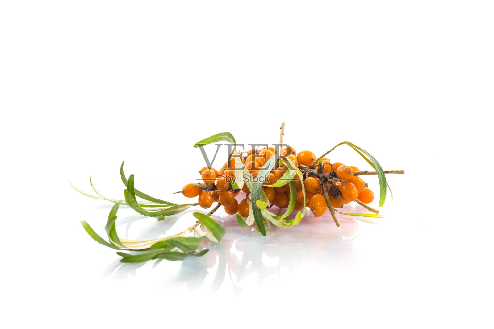 沙棘照片摄影图片