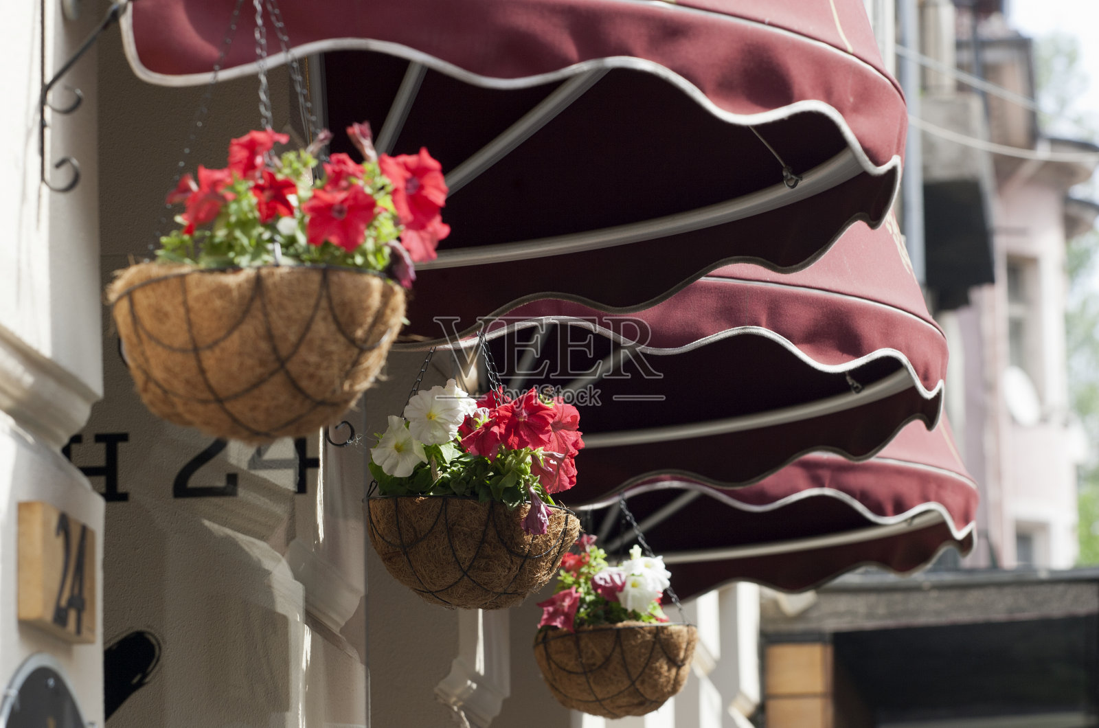 天篷和鲜花照片摄影图片