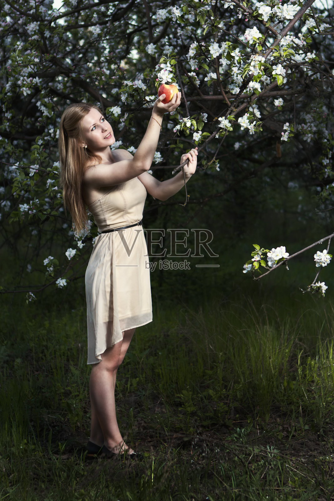 苹果园里的女孩照片摄影图片