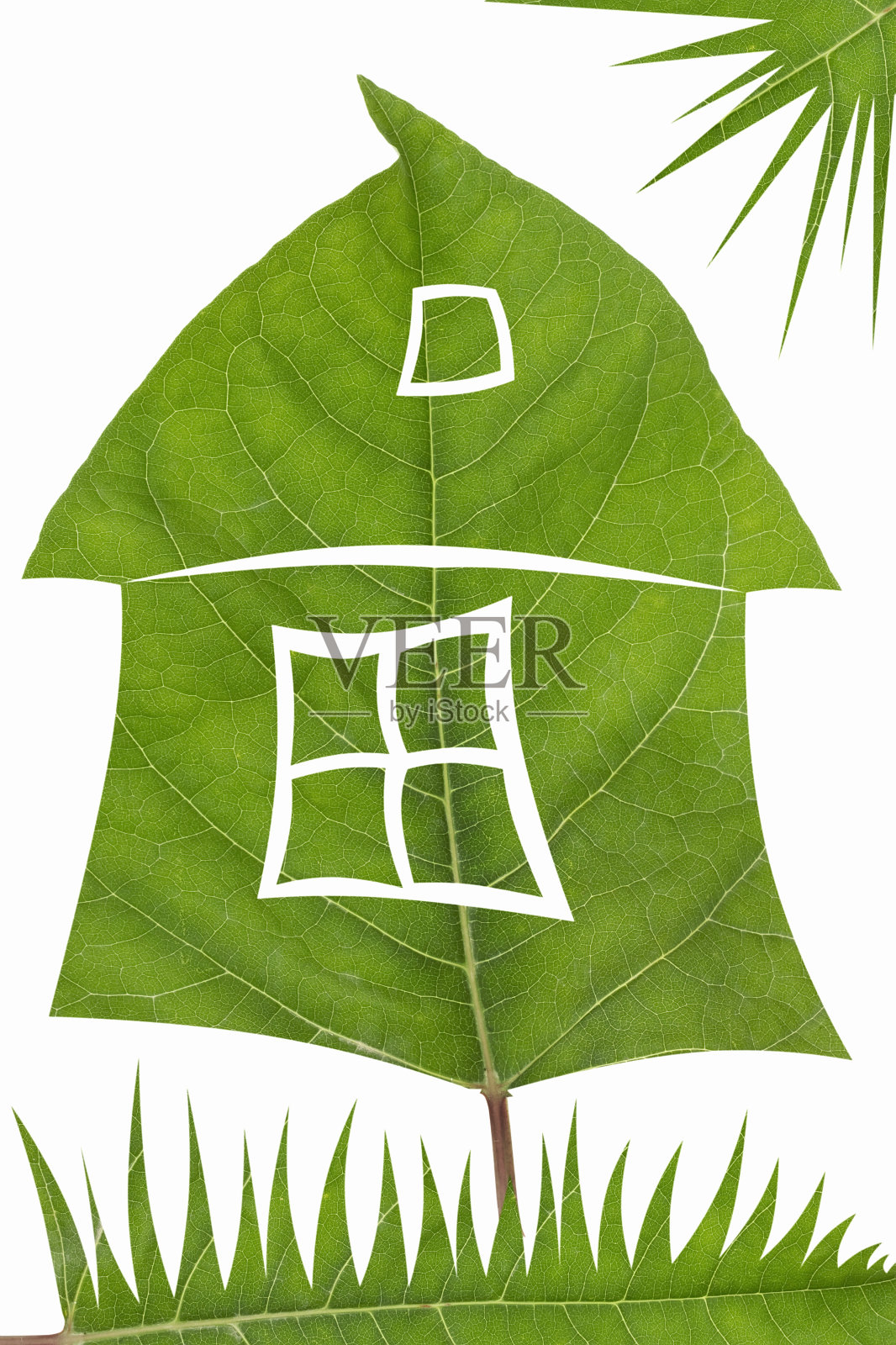 温室概念照片摄影图片