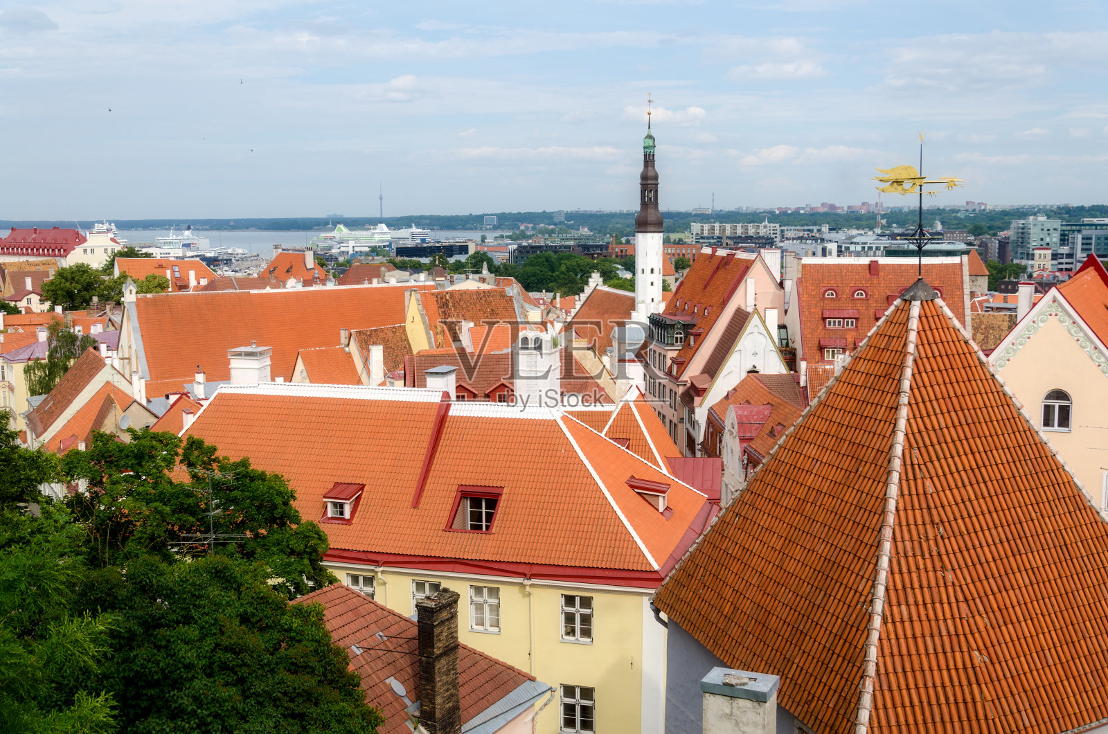 塔林老城照片摄影图片