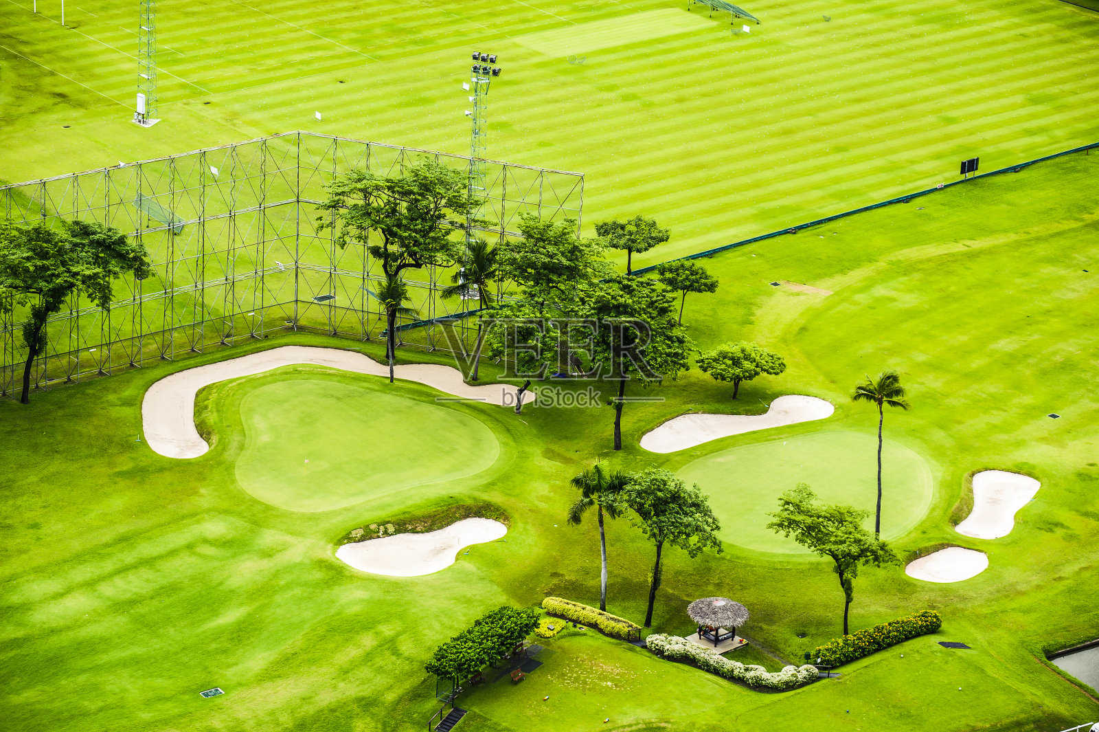 高尔夫绿色照片摄影图片