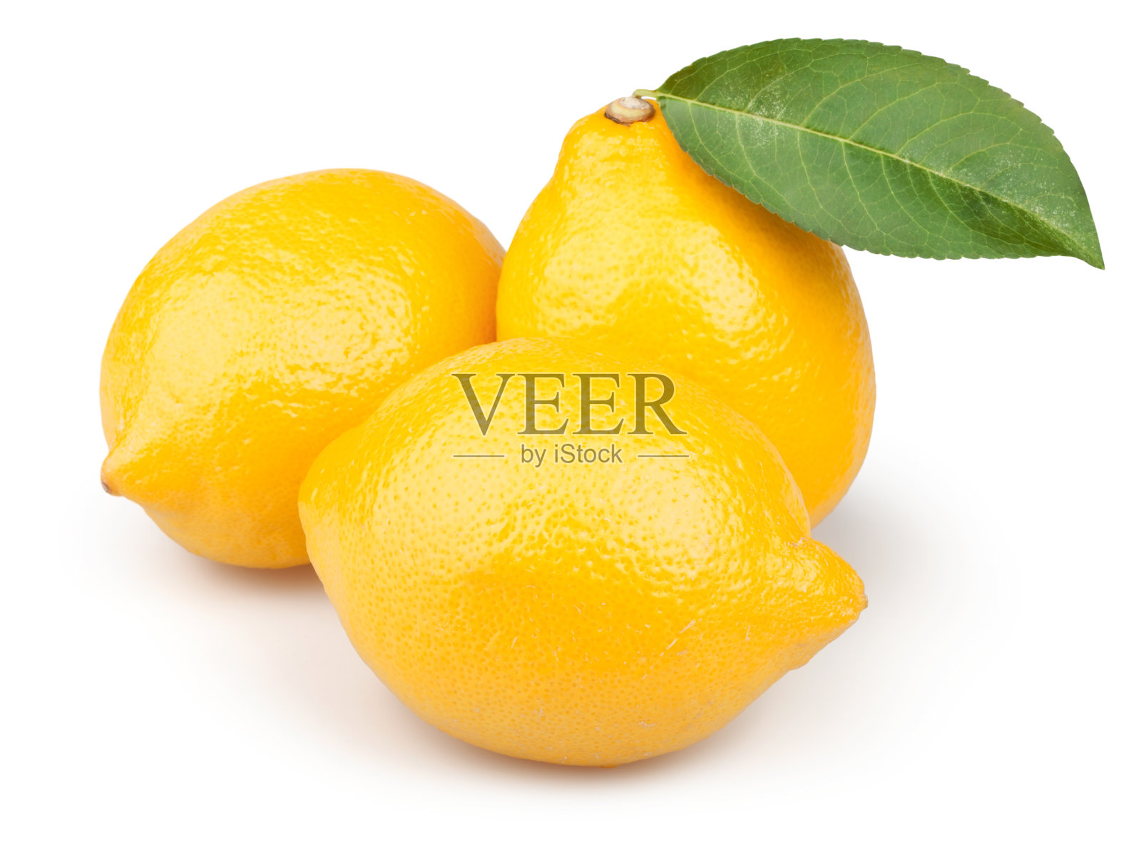 柠檬叶组照片摄影图片