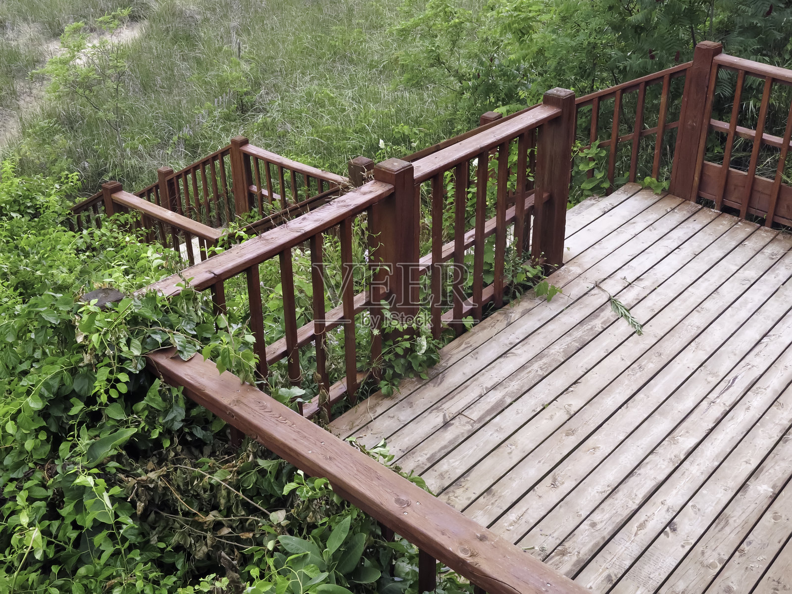 访问一瞥照片摄影图片