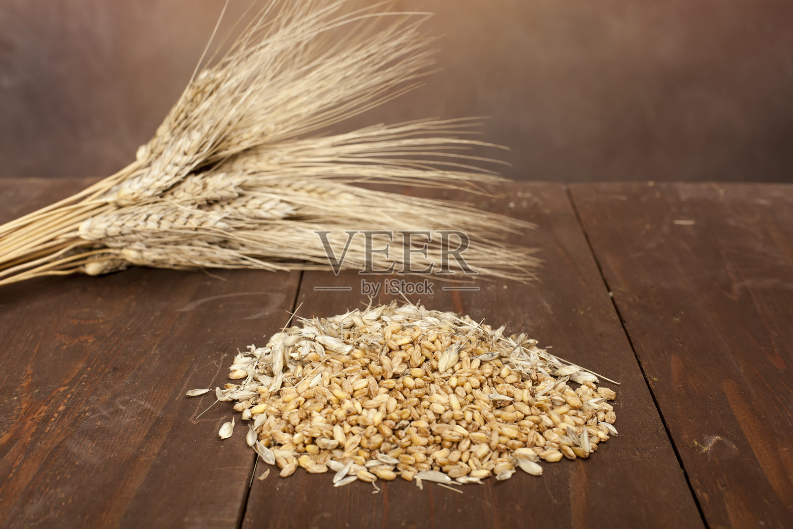 小麦、植物和种子照片摄影图片