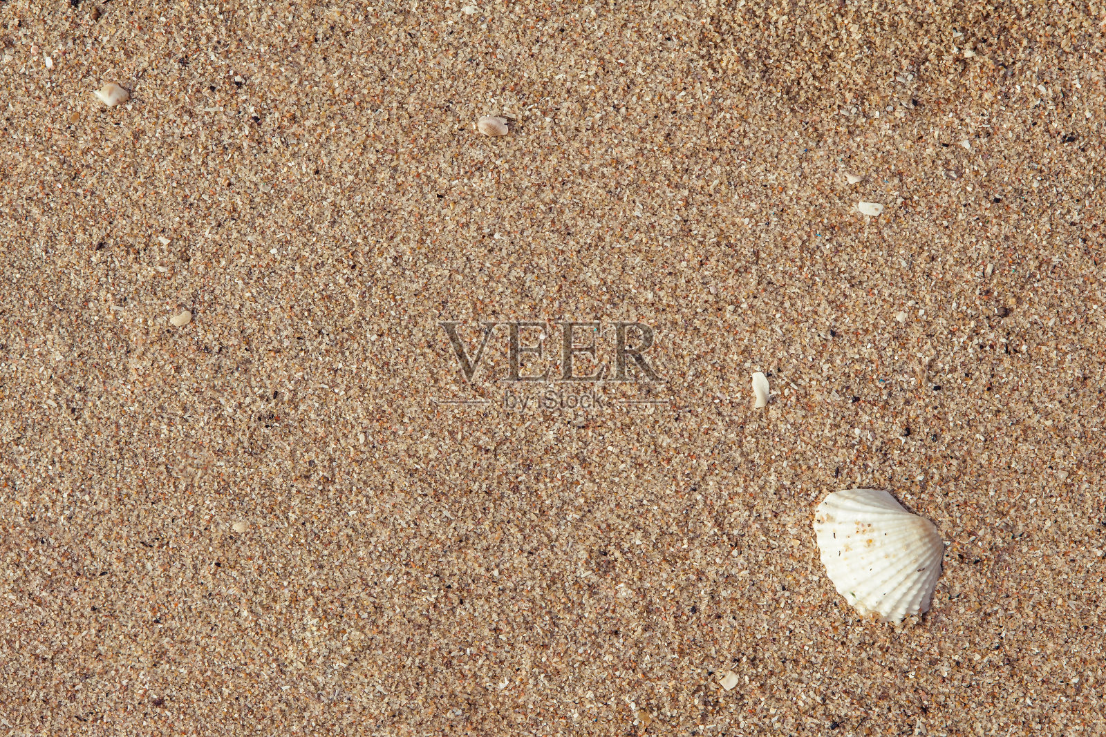 海砂背景照片摄影图片