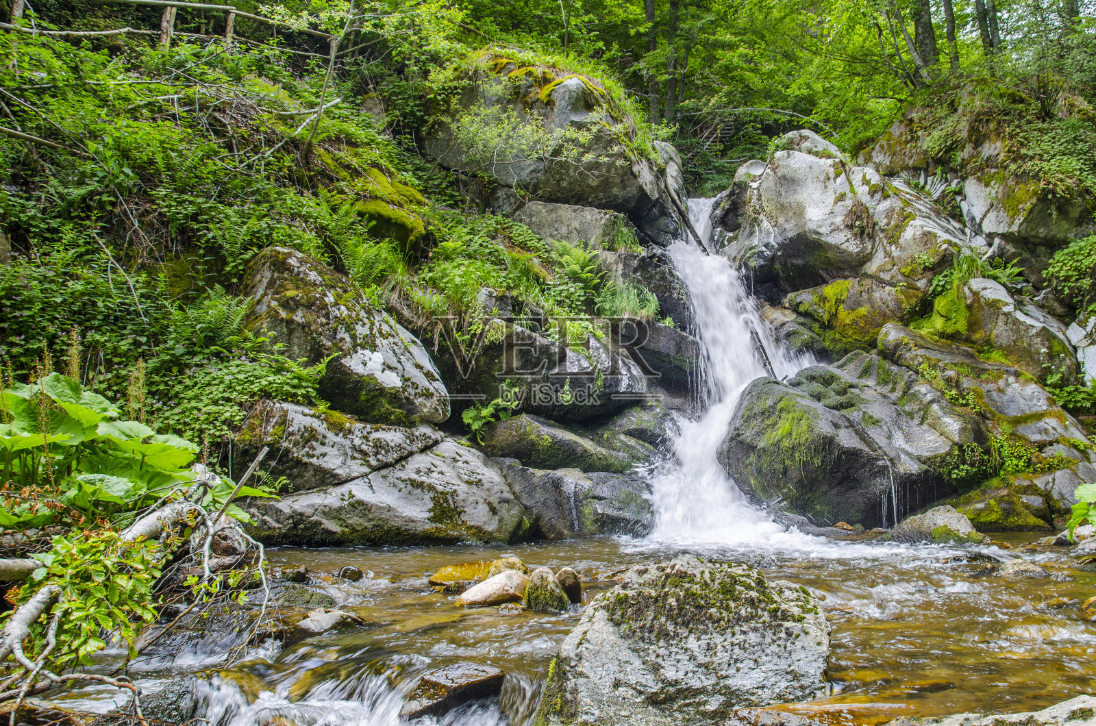 美丽的清澈的水，溪流瀑布在马其顿的生态自然照片摄影图片