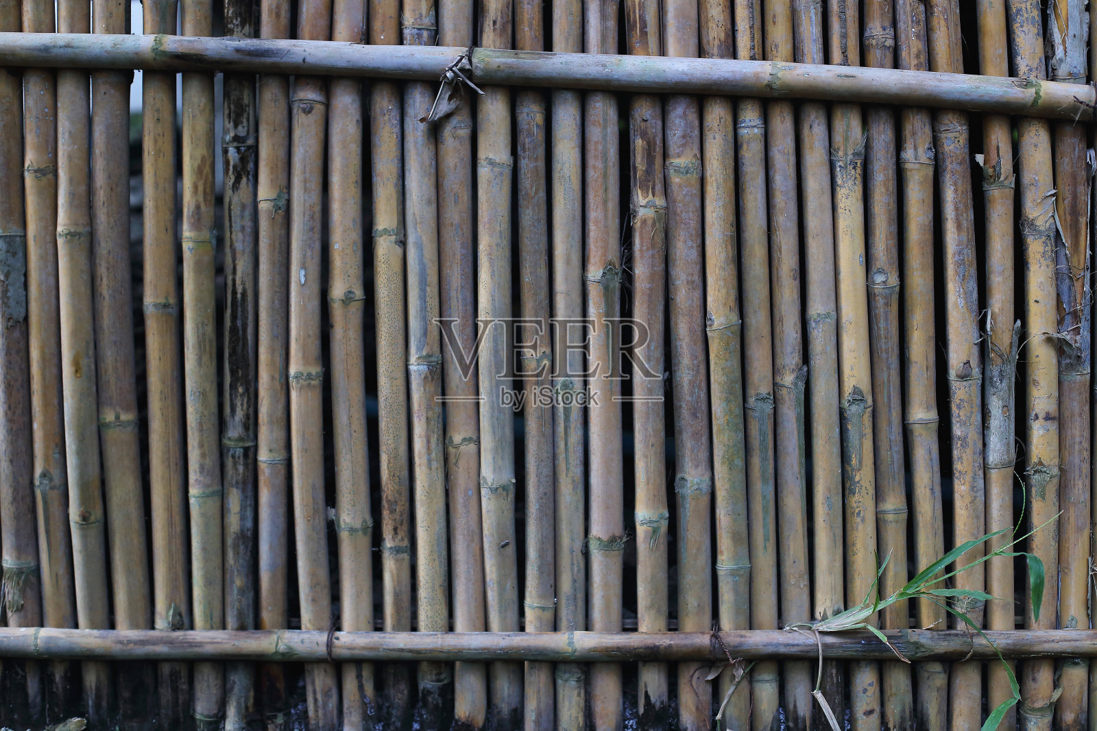 天然竹子背景照片摄影图片