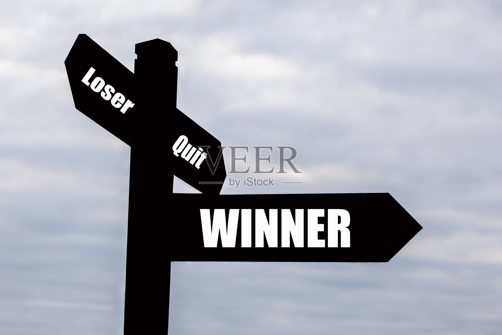 赢家和成功的路标。照片摄影图片