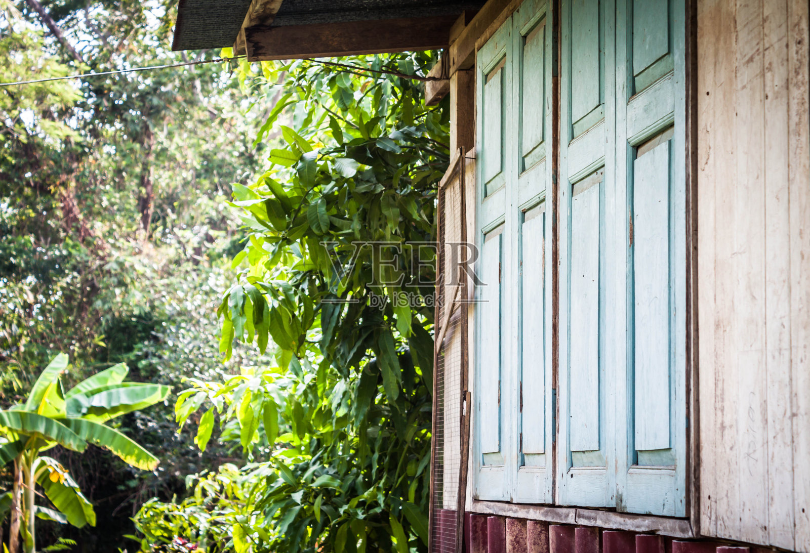 花园绿油油的老鸡舍关窗照片摄影图片