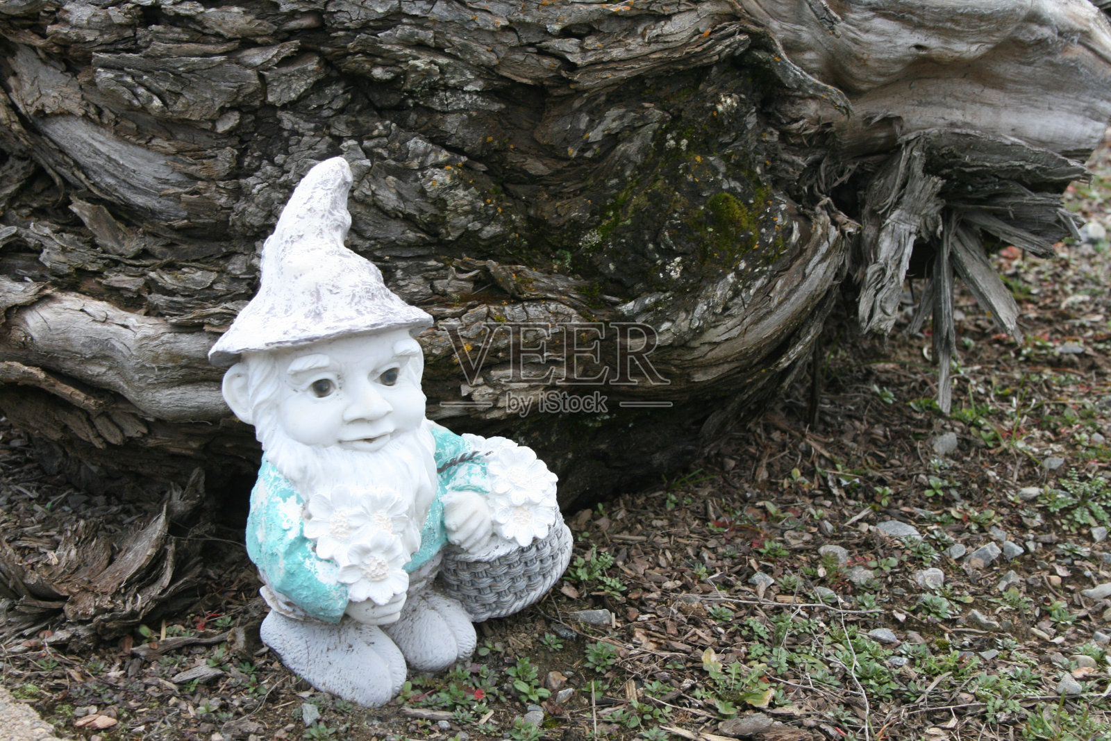 褪色的侏儒照片摄影图片