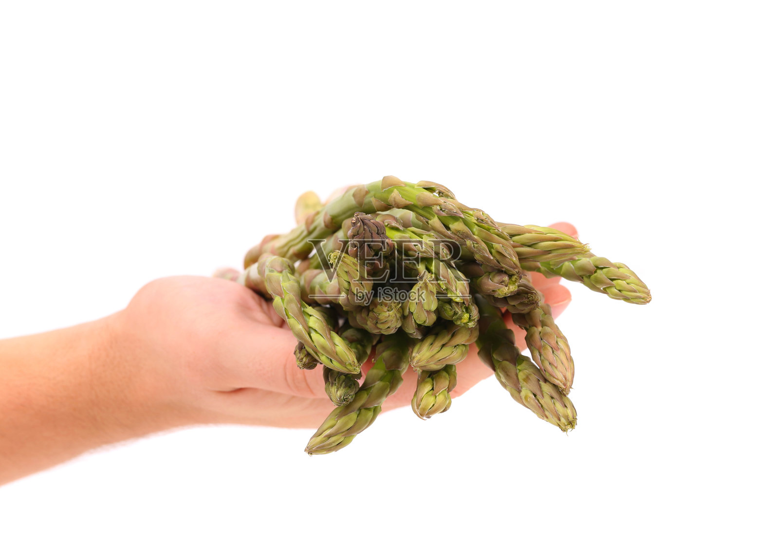 手持新鲜绿芦笋束。照片摄影图片