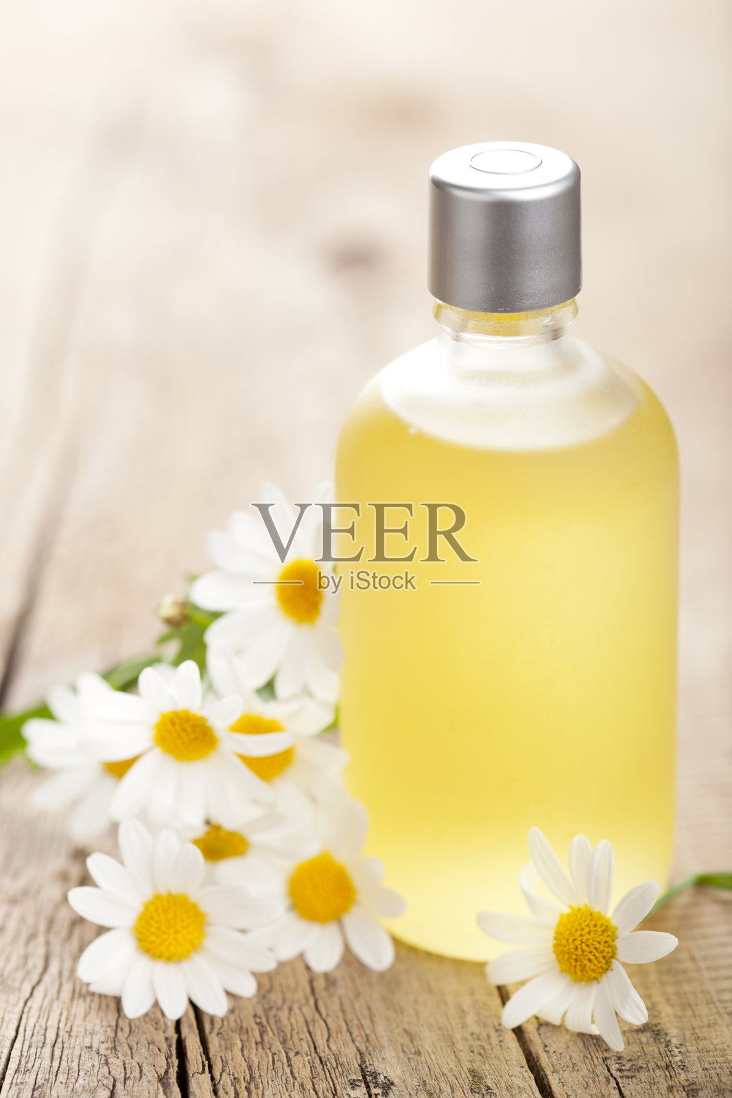 精油和洋甘菊花照片摄影图片