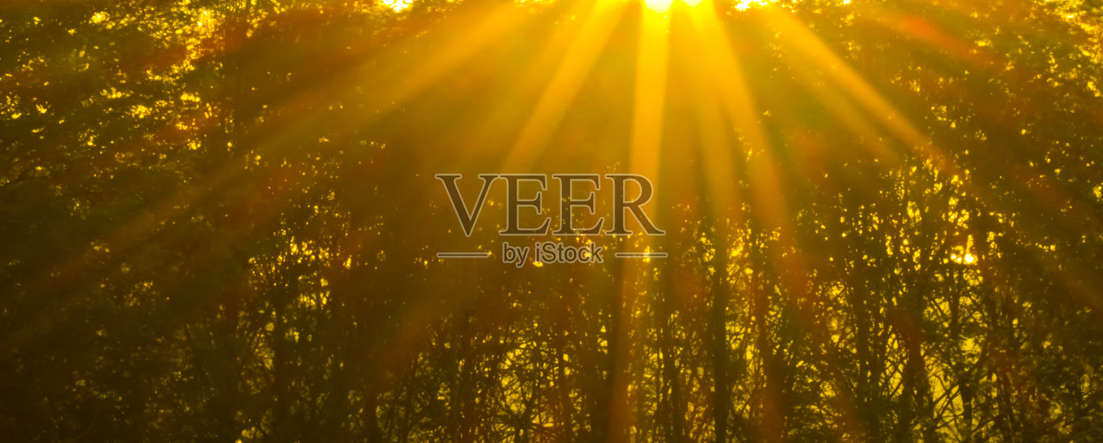 太阳的光芒照片摄影图片