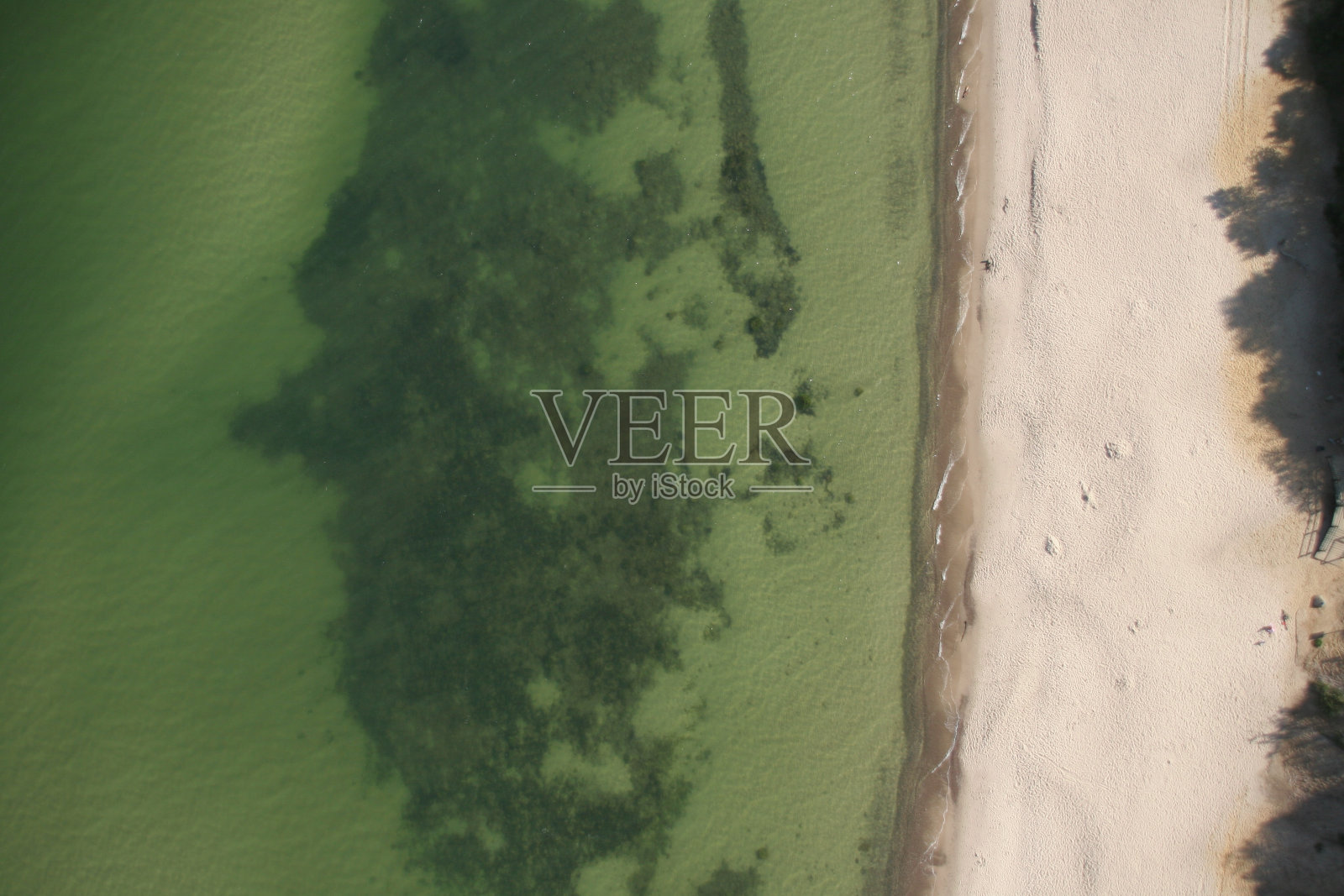 泳滩鸟瞰图照片摄影图片