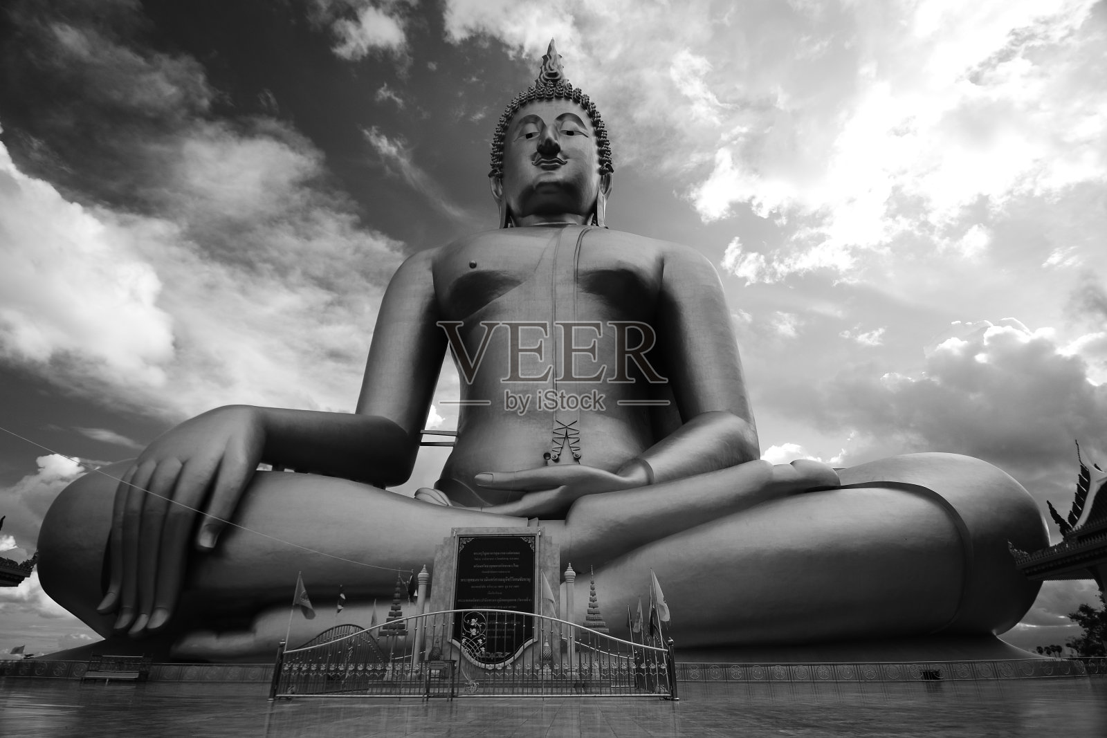 世界上最大的佛像照片摄影图片