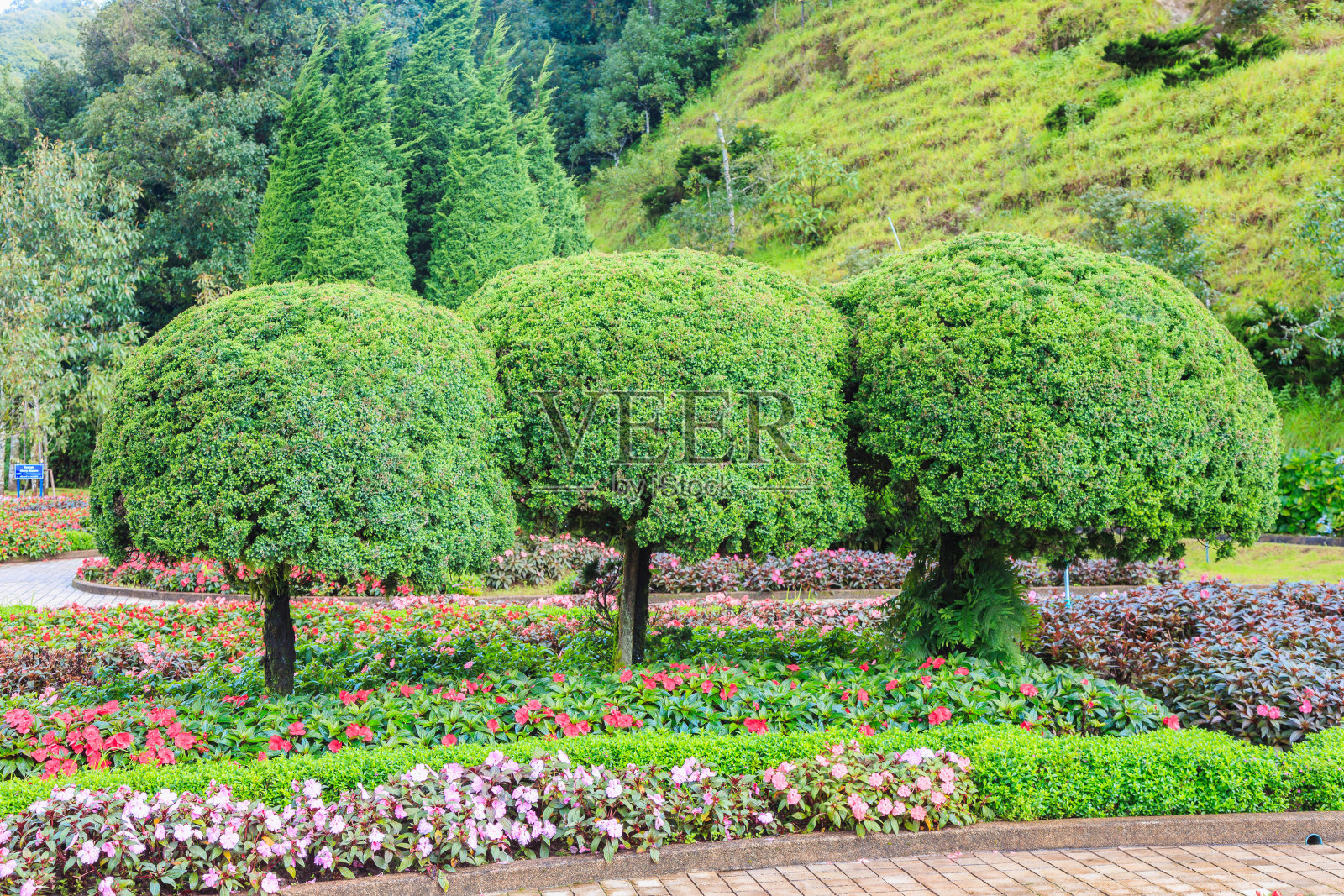 绿色的树和美丽的花照片摄影图片