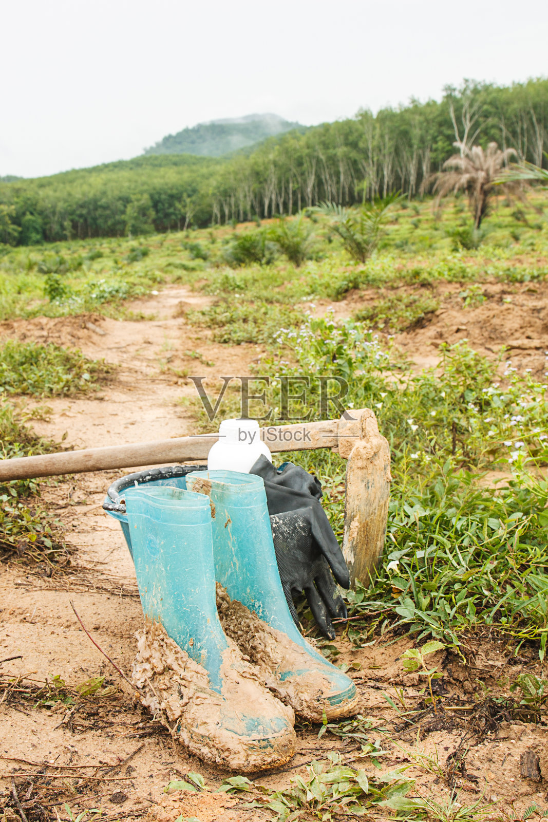 园艺工具照片摄影图片