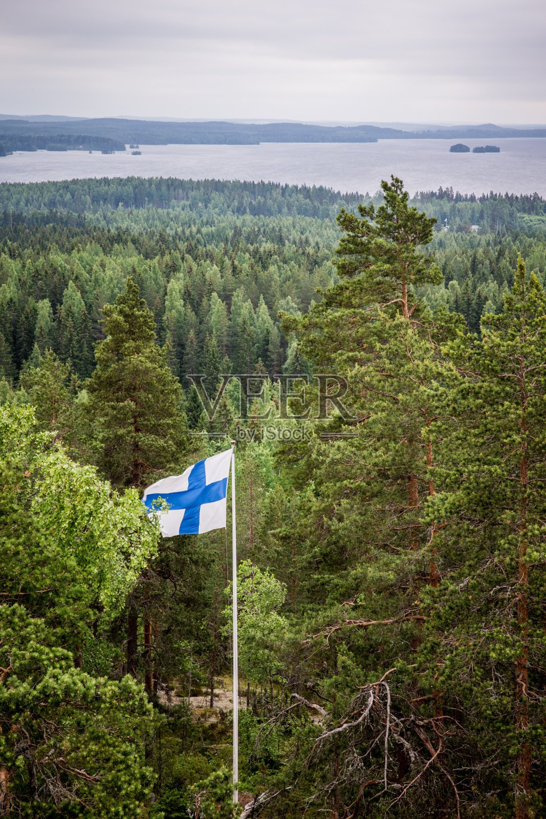施洗约翰节照片摄影图片