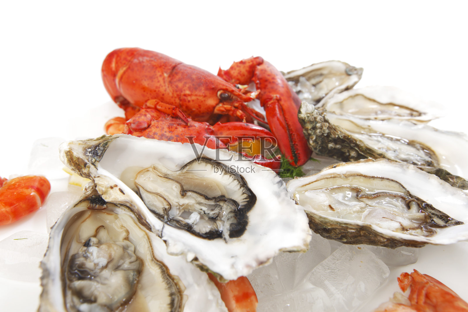 新鲜的海鲜照片摄影图片