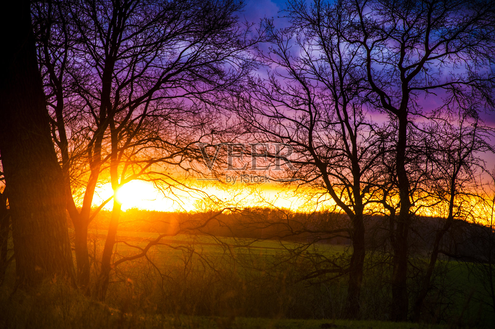 日落时树木的剪影照片摄影图片