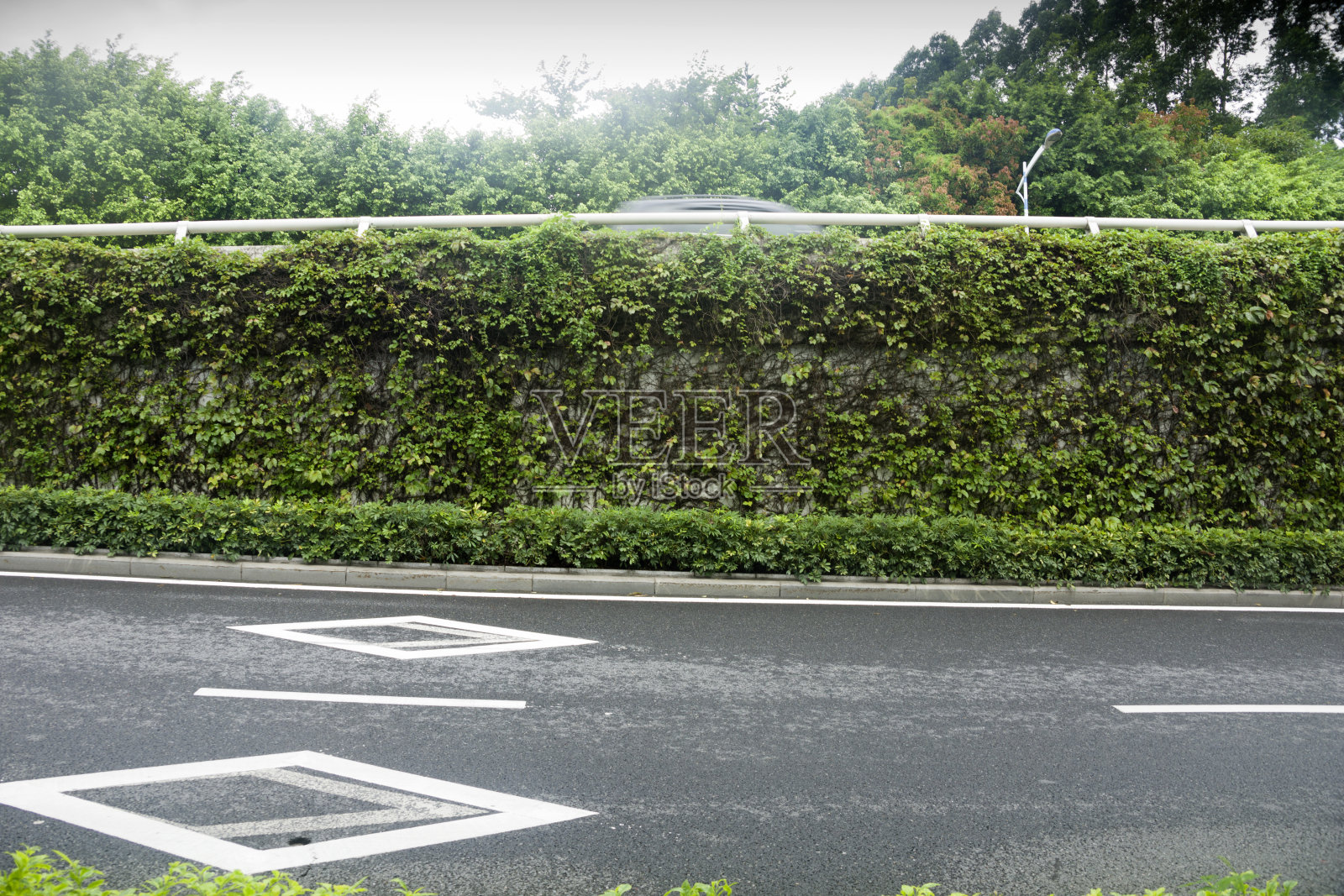 有青藤的立交桥照片摄影图片