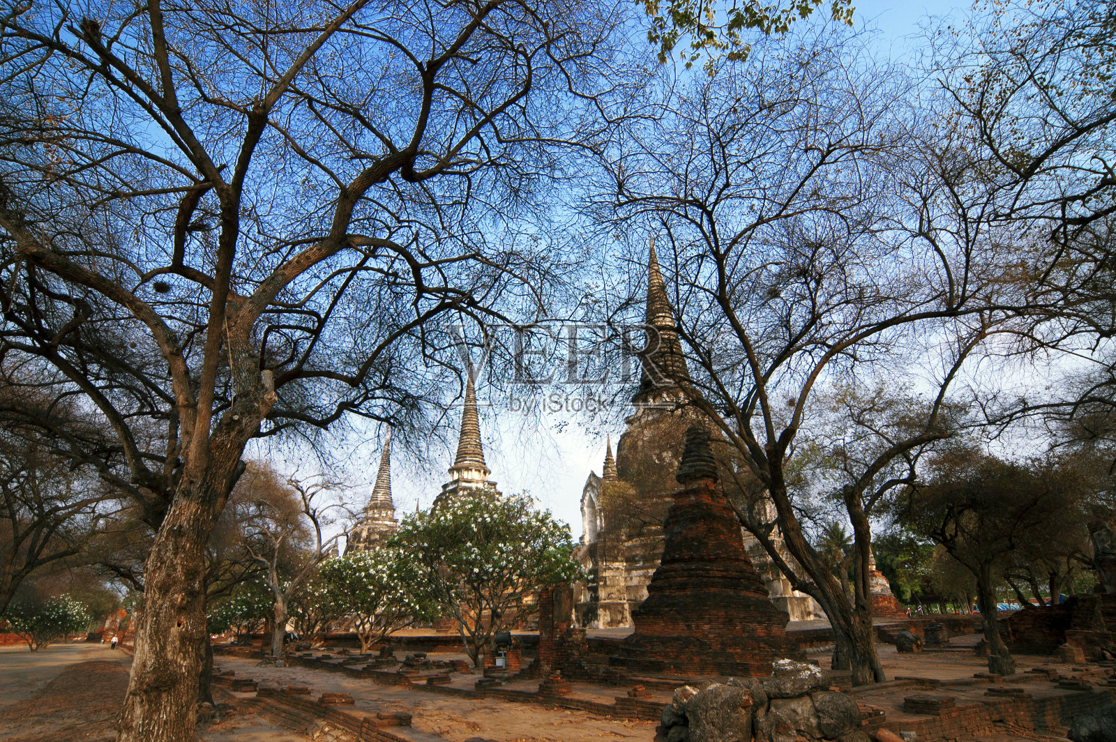 泰国Ayudhya省，Wat Phra Sri Sanphet照片摄影图片