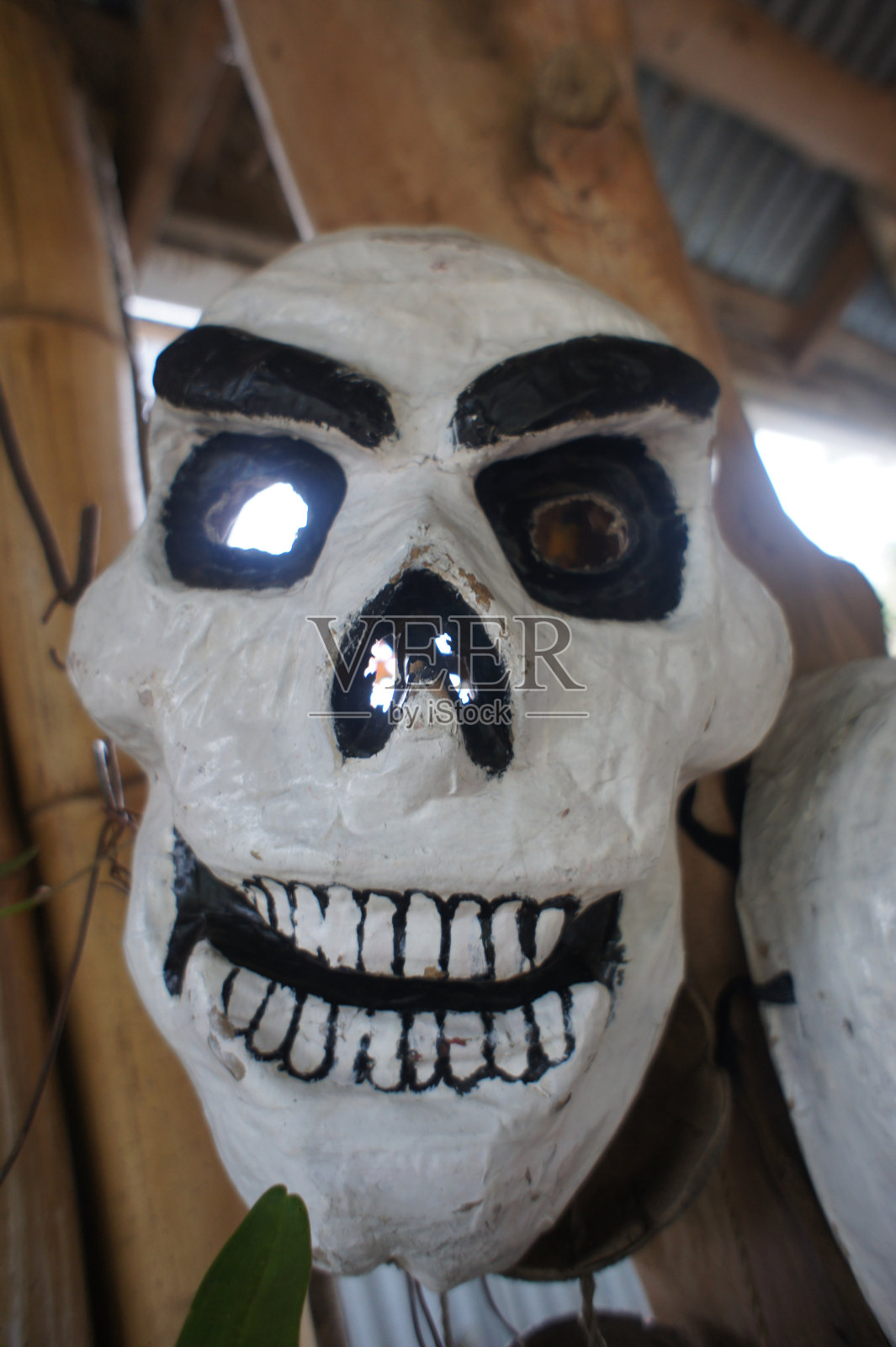 来自哥斯达黎加的印象照片摄影图片