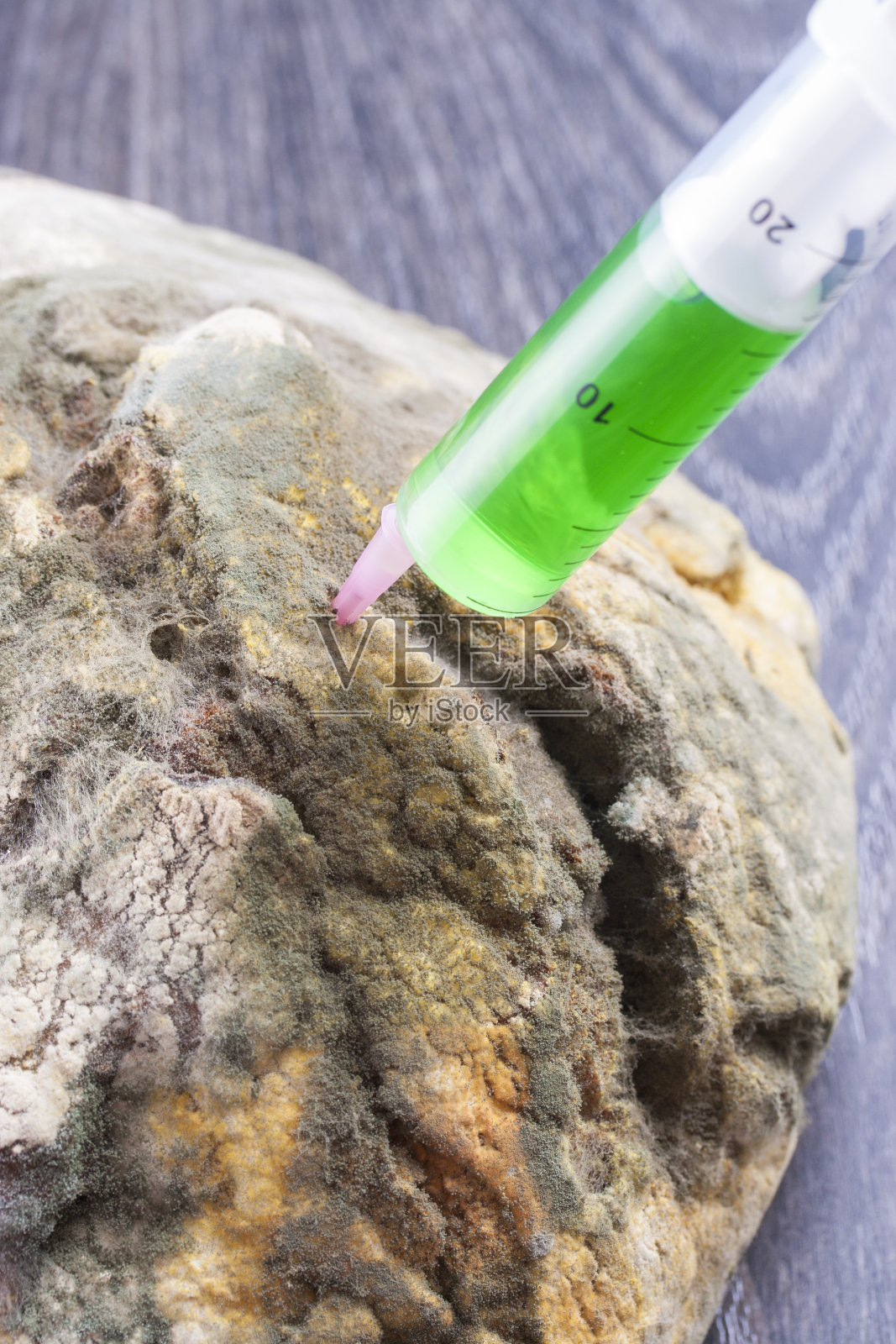 转基因生物照片摄影图片