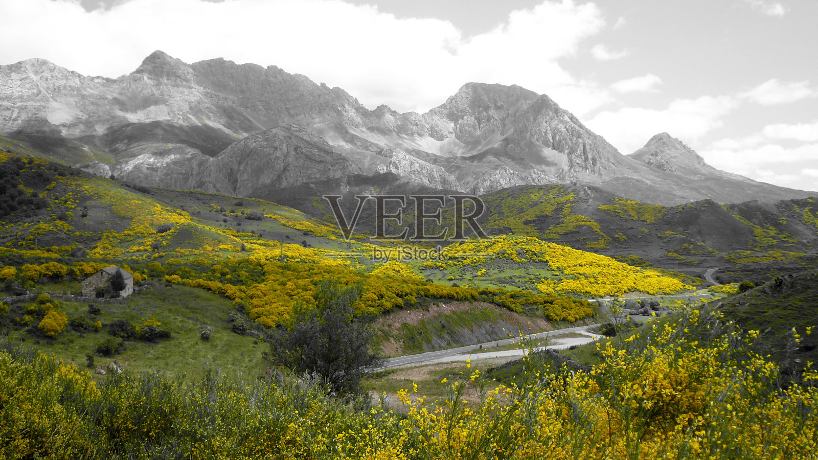 山地景观-派萨耶Montañoso照片摄影图片