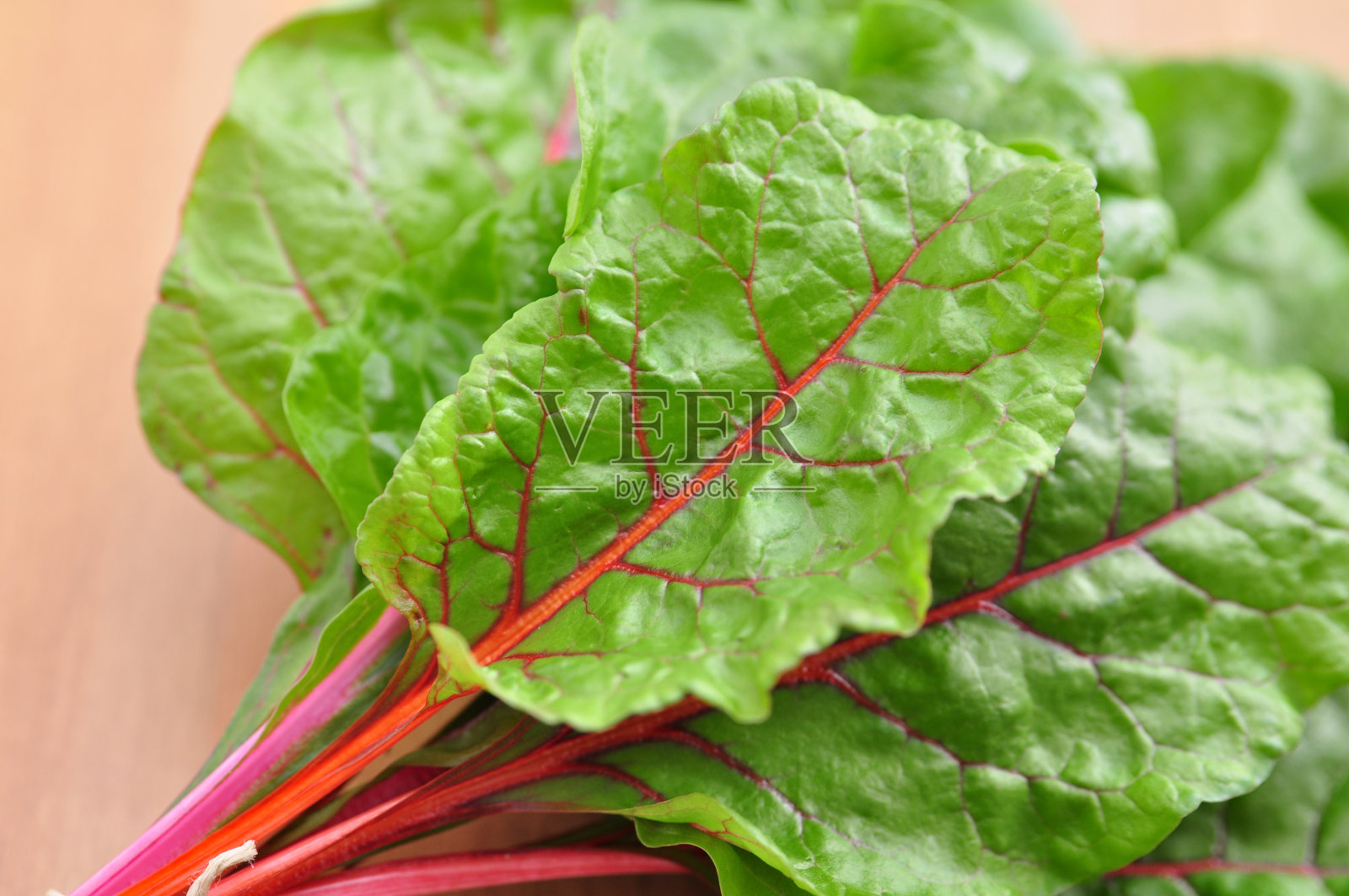 瑞士甜菜照片摄影图片