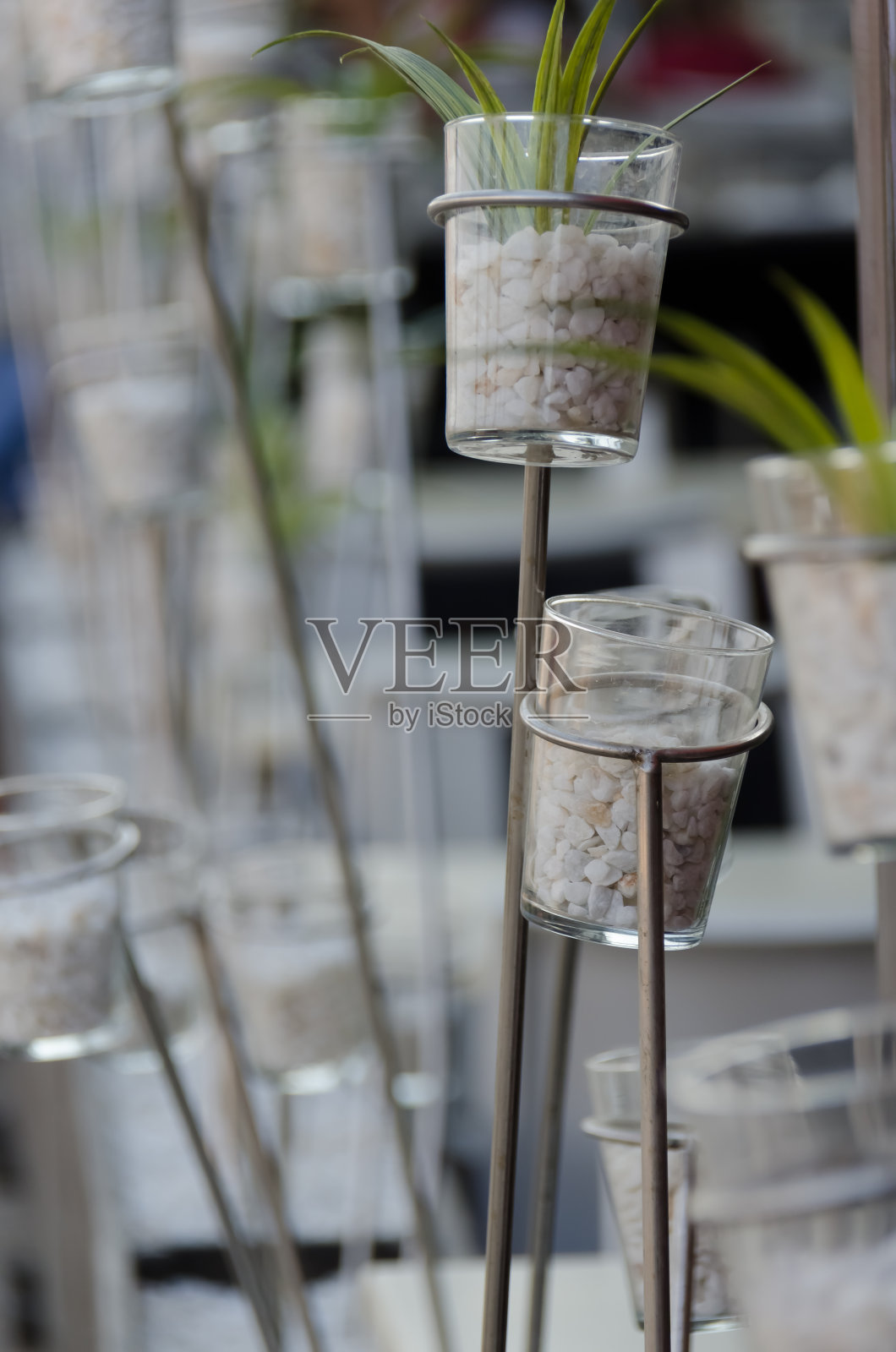 玻璃杯中的大自然照片摄影图片