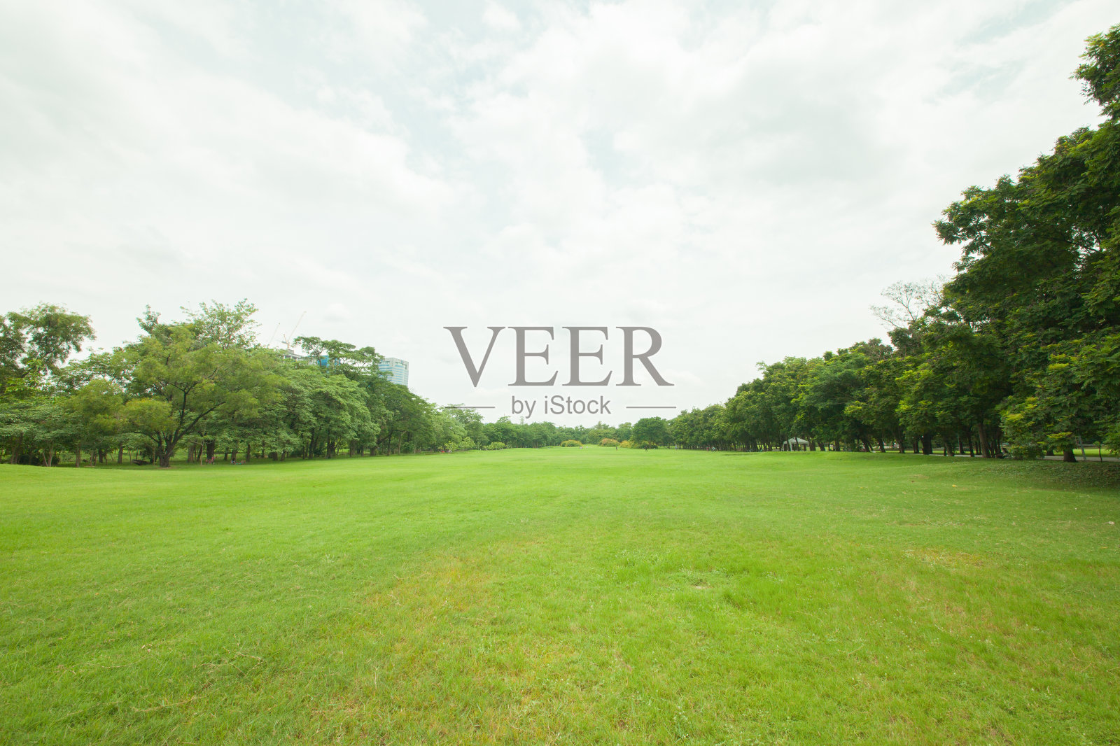 公园里照片摄影图片