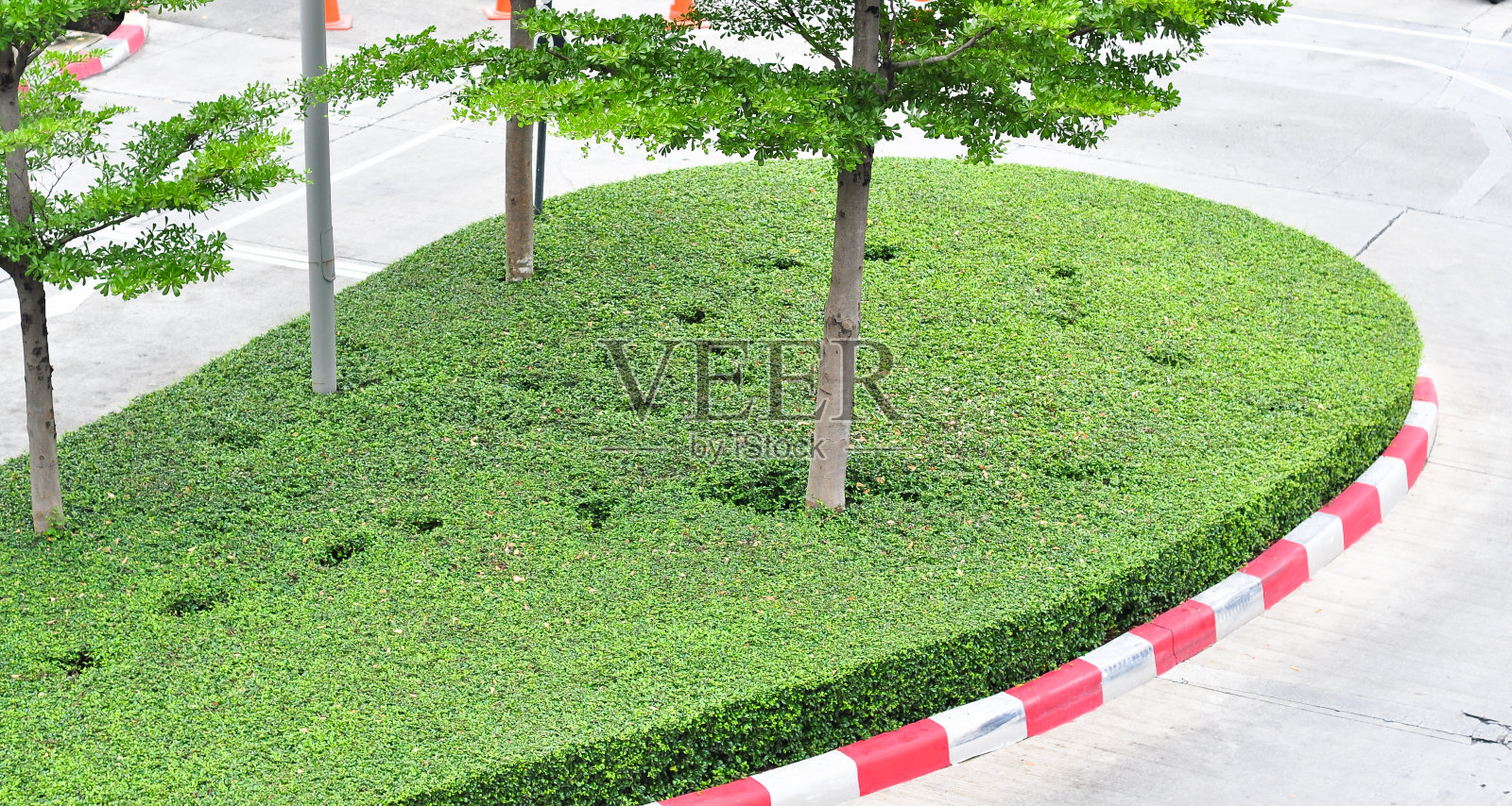 树木妨碍交通照片摄影图片