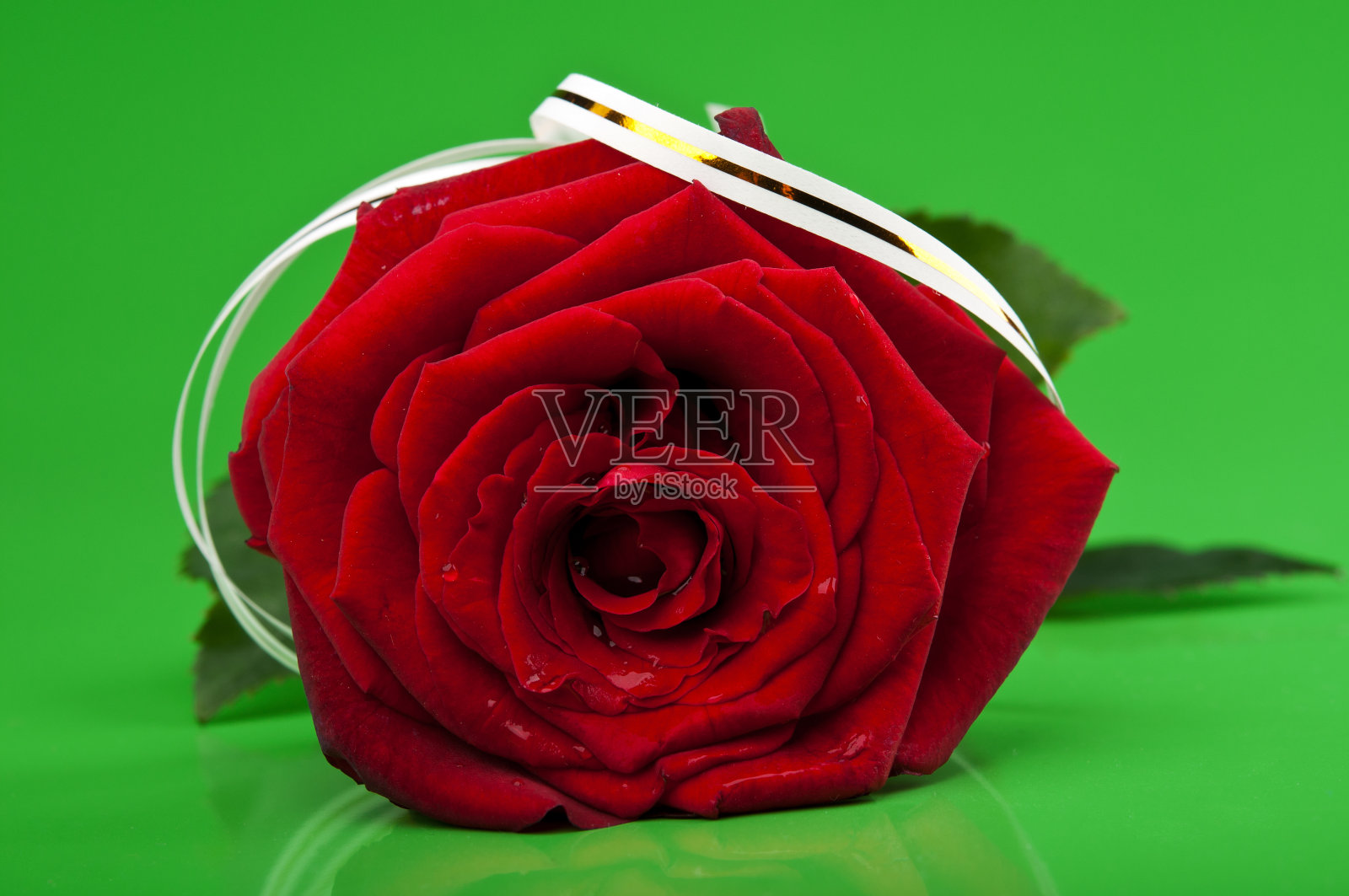 红玫瑰照片摄影图片