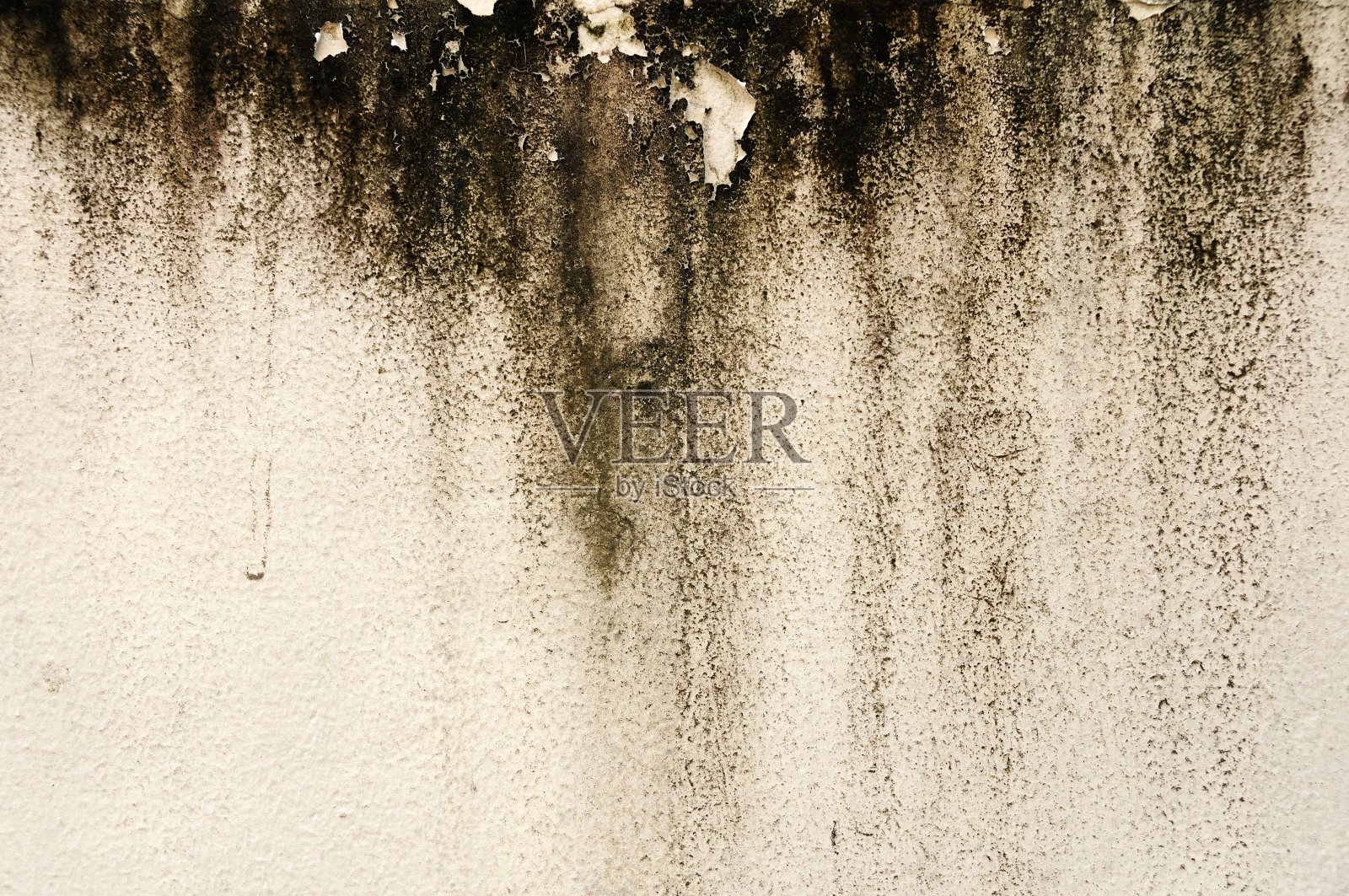 白墙背景和苔藓纹理照片摄影图片