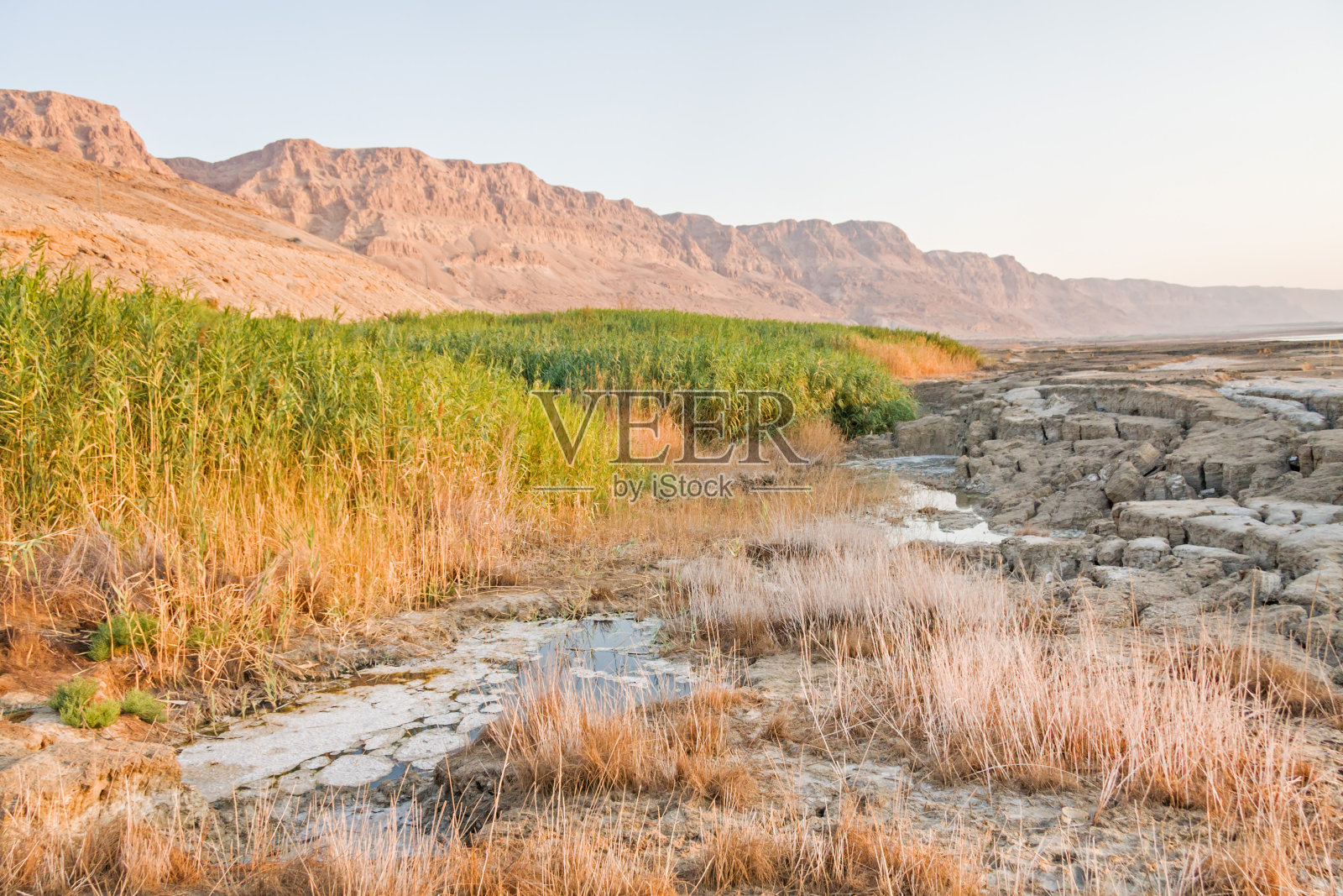 黎明时分死海泥泞且盐度不稳定的海岸照片摄影图片