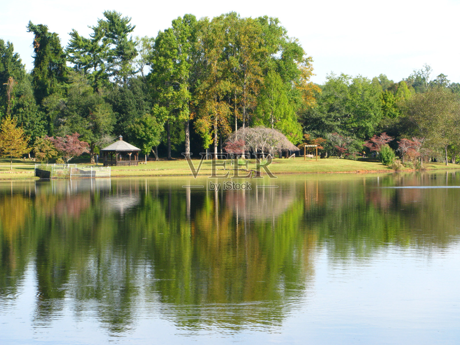 弗曼大学湖照片摄影图片