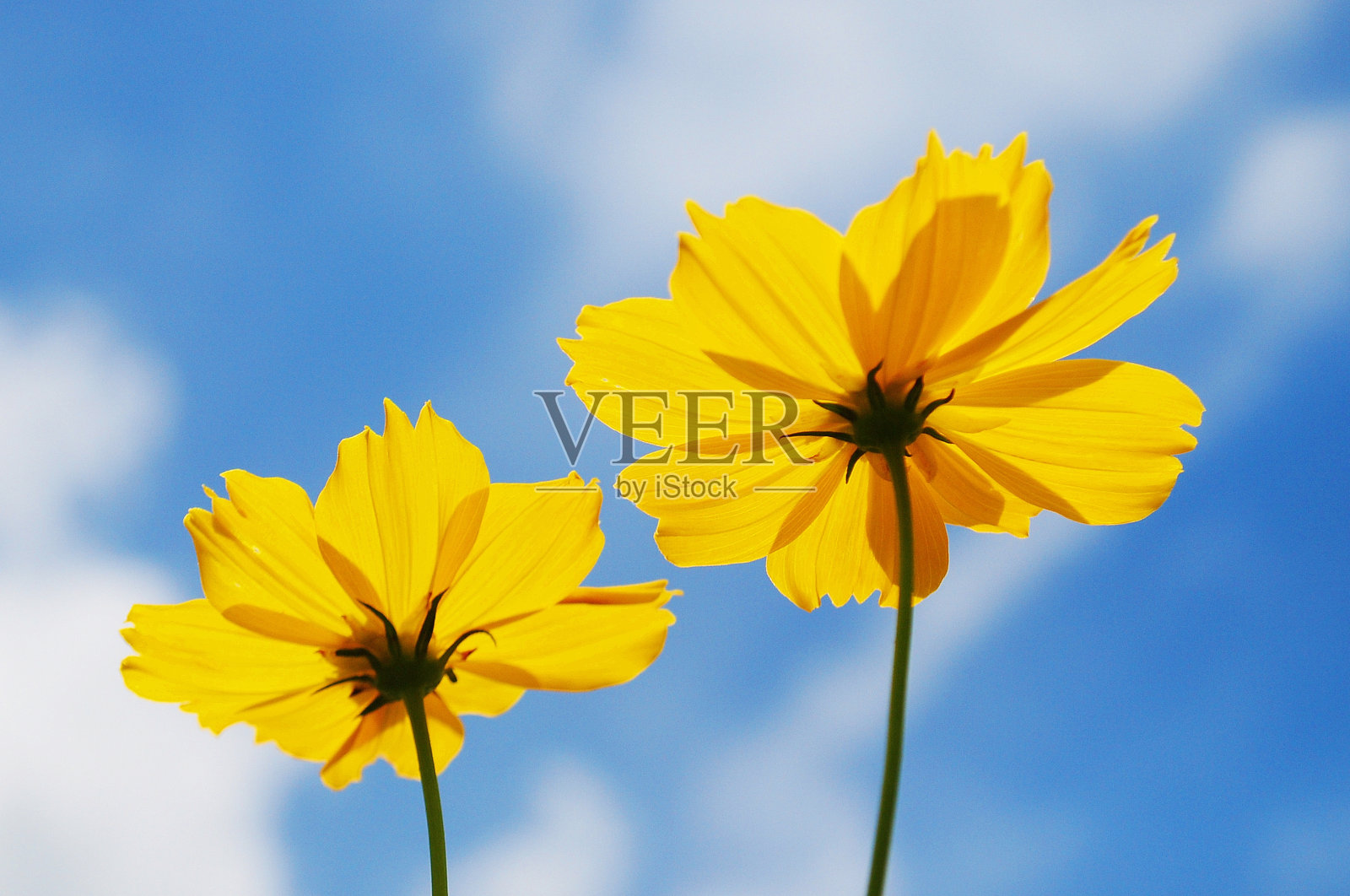 黄色的宇宙和蓝色的天空背景照片摄影图片