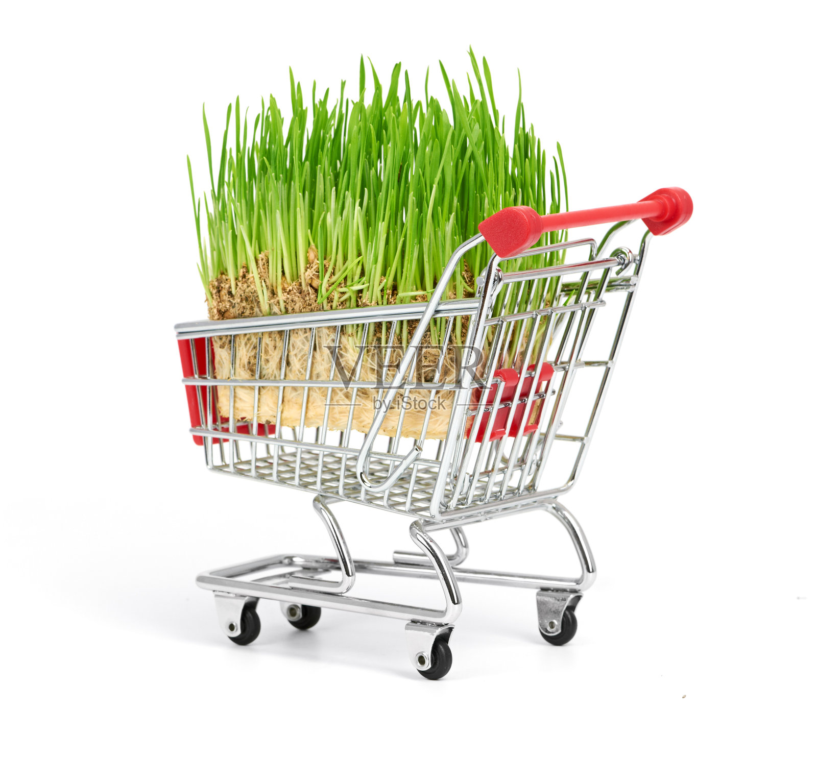 绿色的草在购物车里照片摄影图片