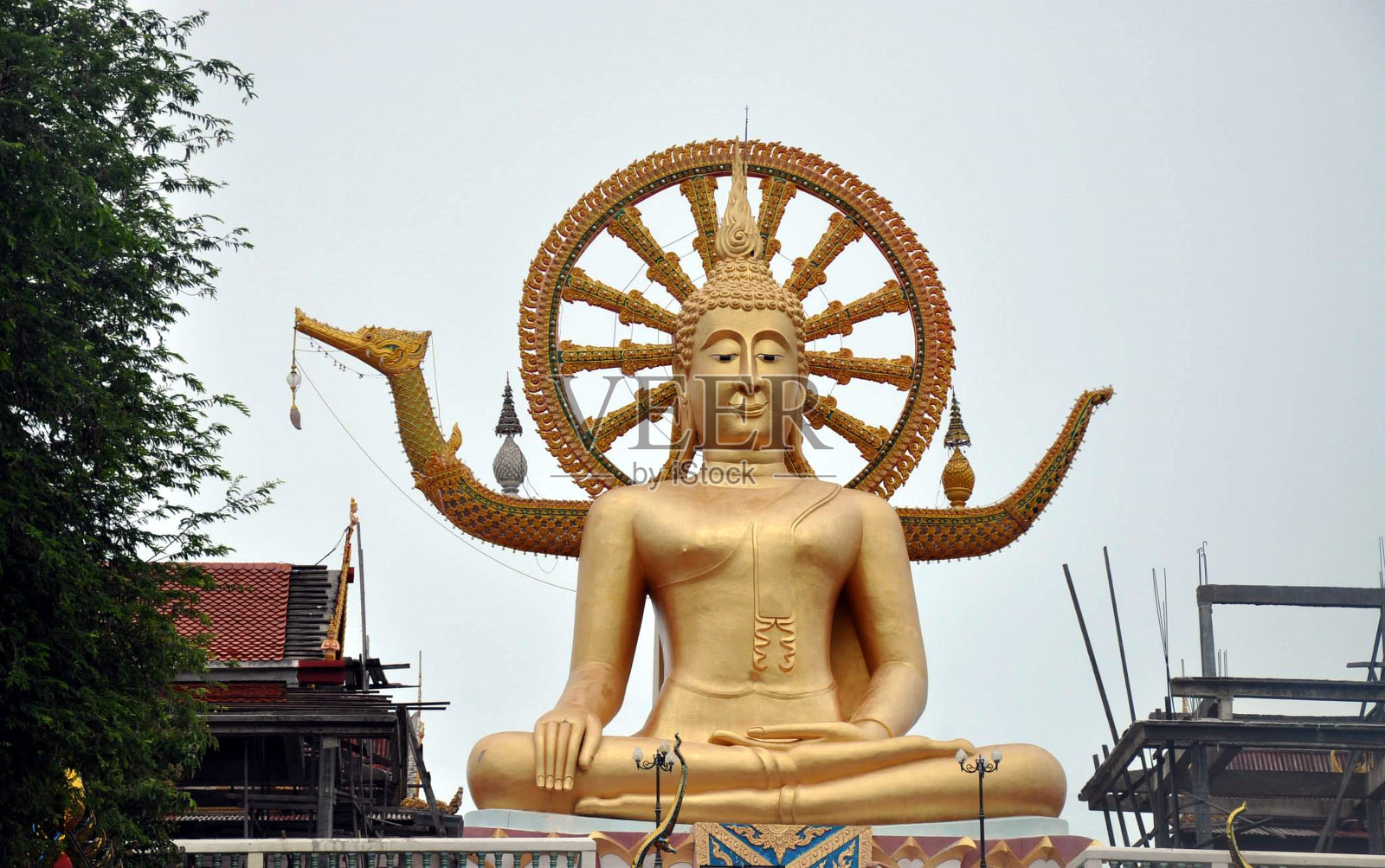 美女在曼谷照片摄影图片