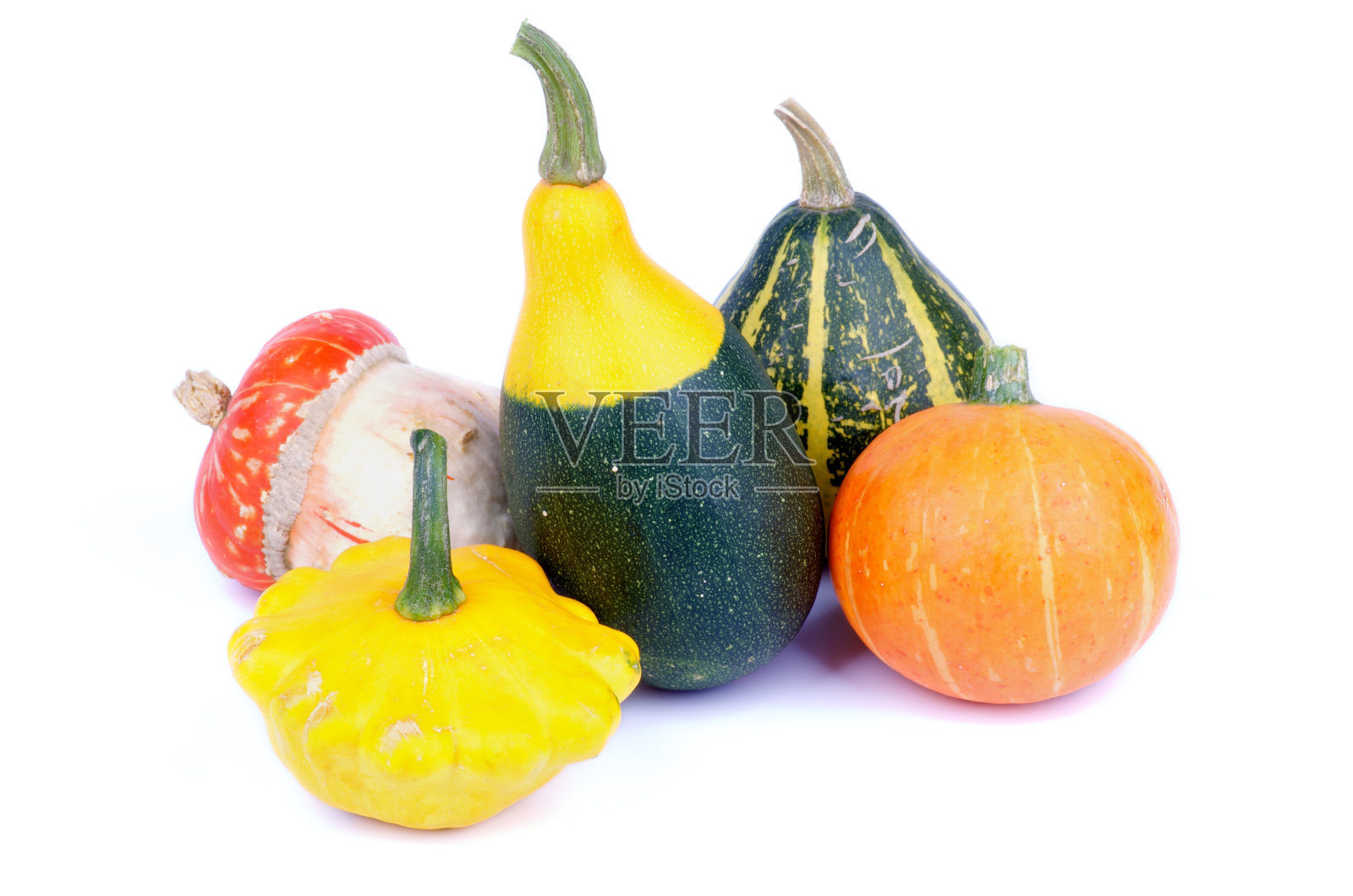 南瓜和南瓜照片摄影图片