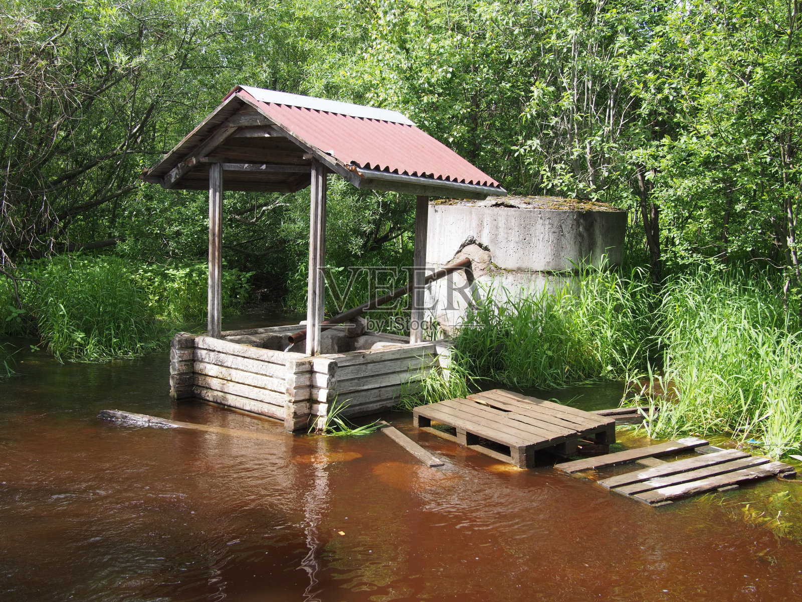 春天照片摄影图片