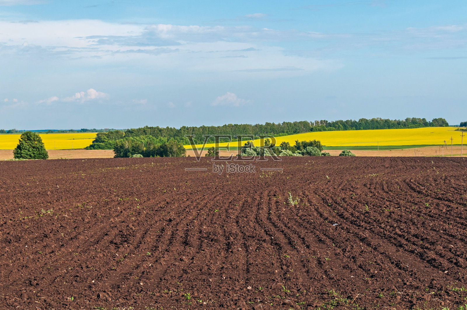 在天空背景下的黄色草地前是棕色的耕地照片摄影图片
