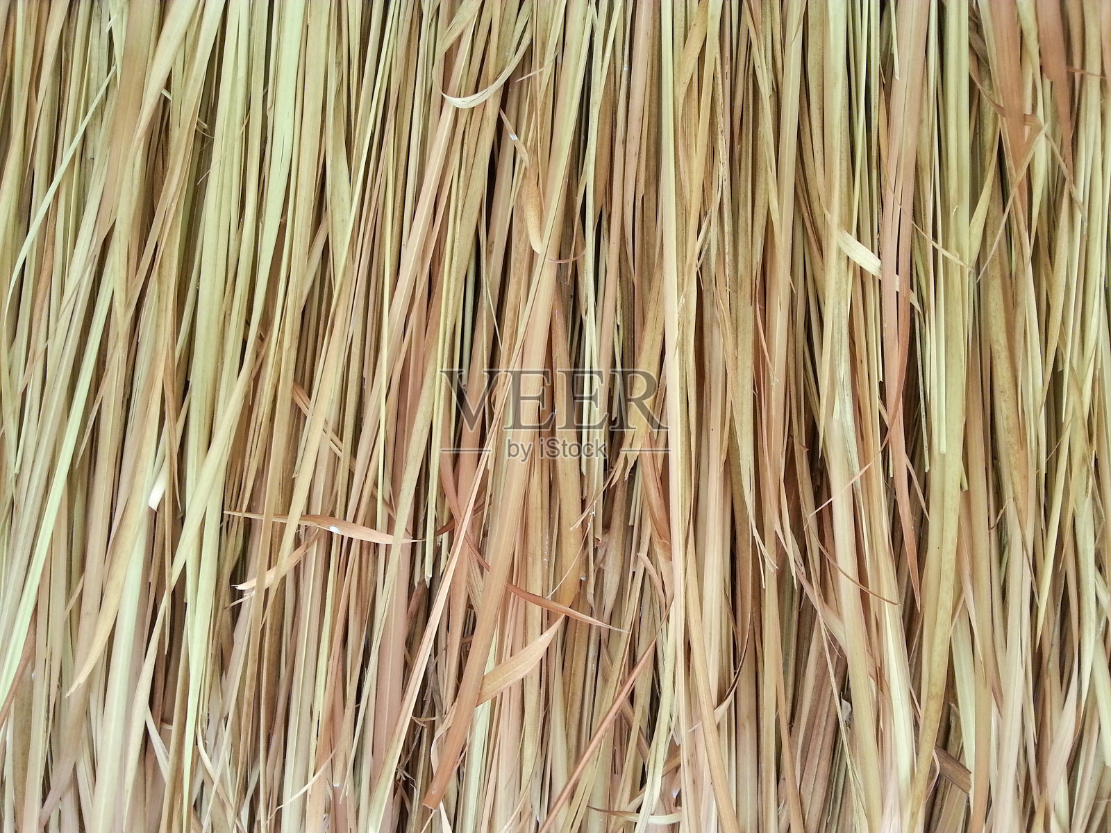 thatching: android的移动股票照片摄影图片