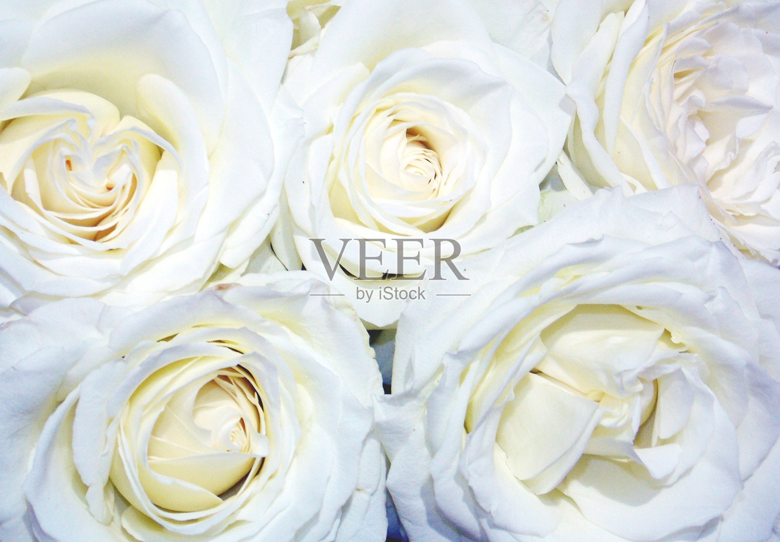 称心如意的境遇照片摄影图片