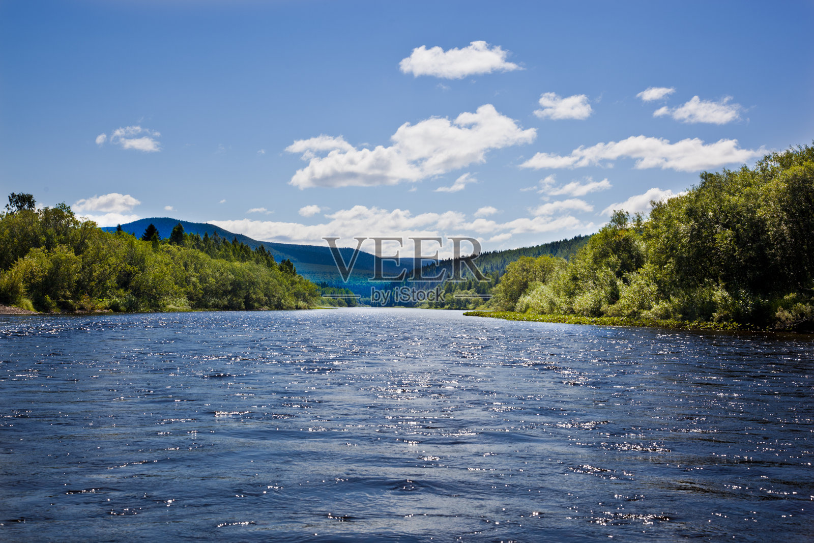 树木和河流照片摄影图片